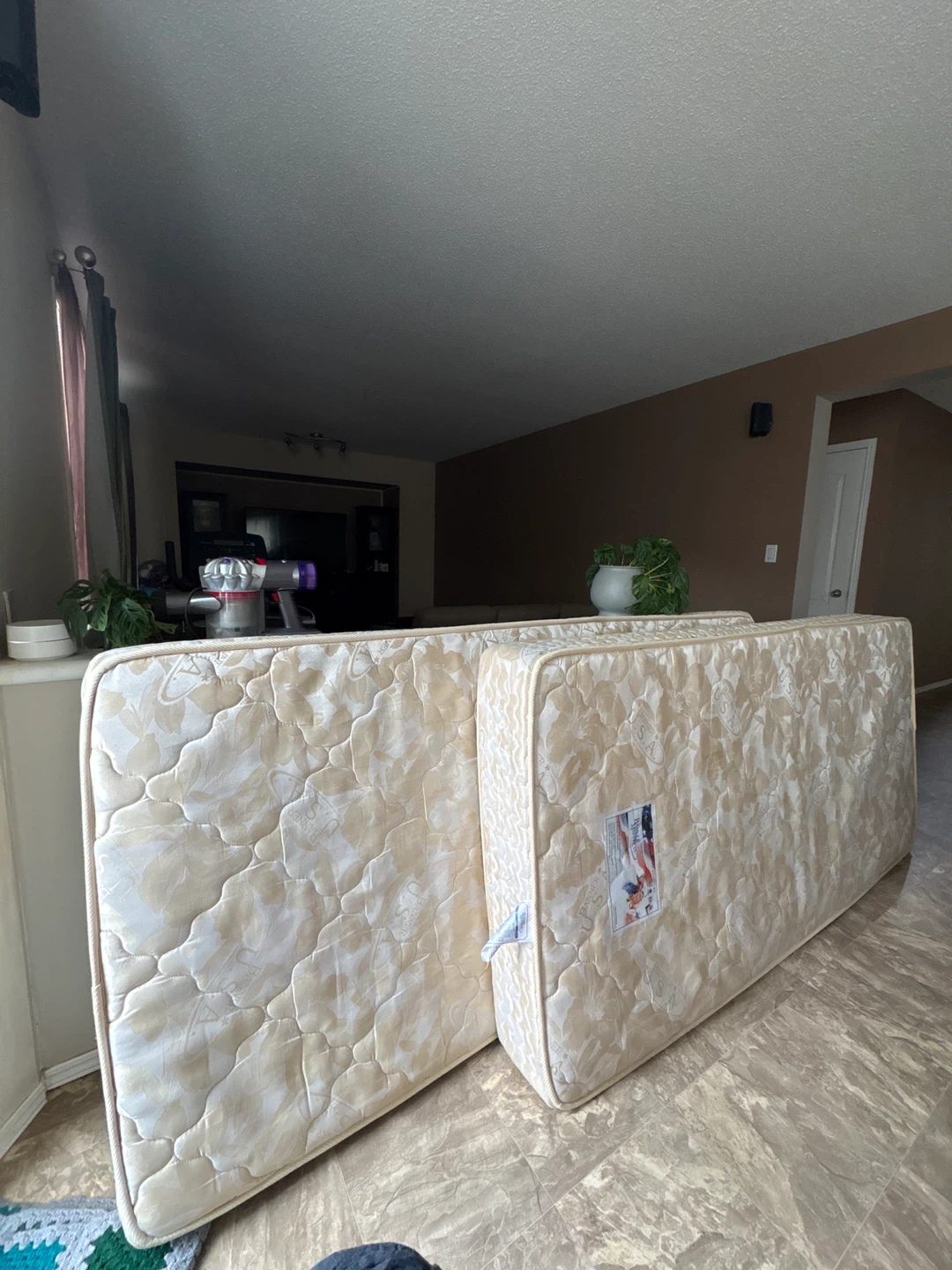 Two Single Mattresses