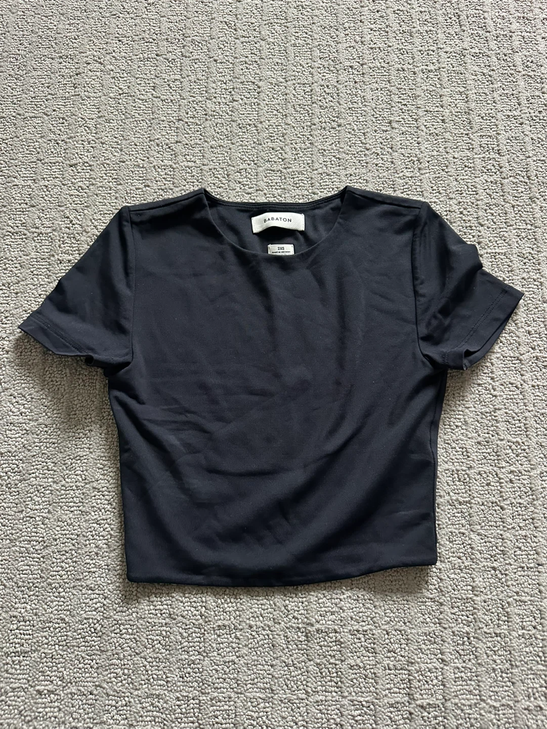 Aritzia BABATON top