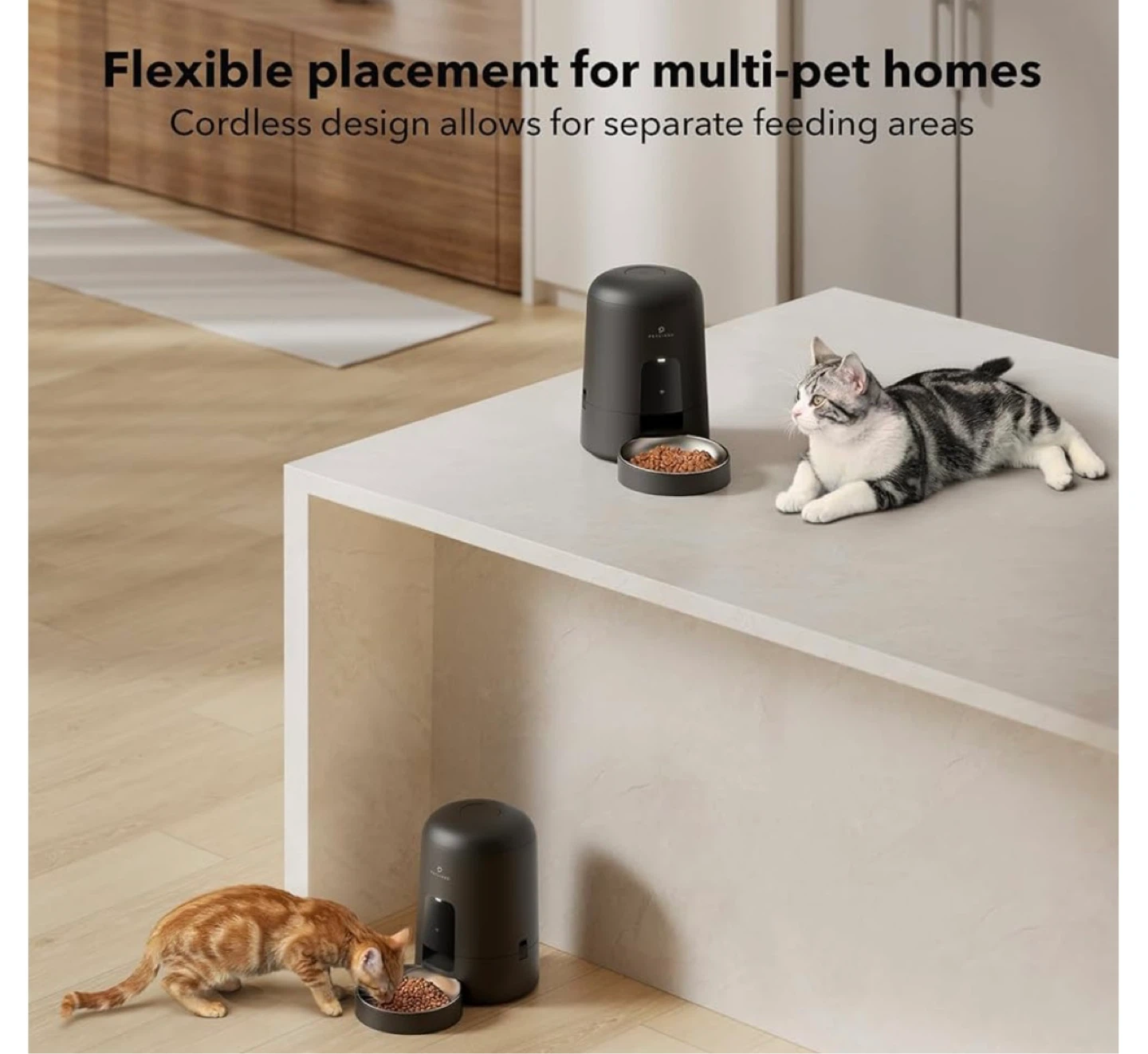 PETLIBRO Automatic Cat Feeder, Feeder for Cat & Dog - photo 5