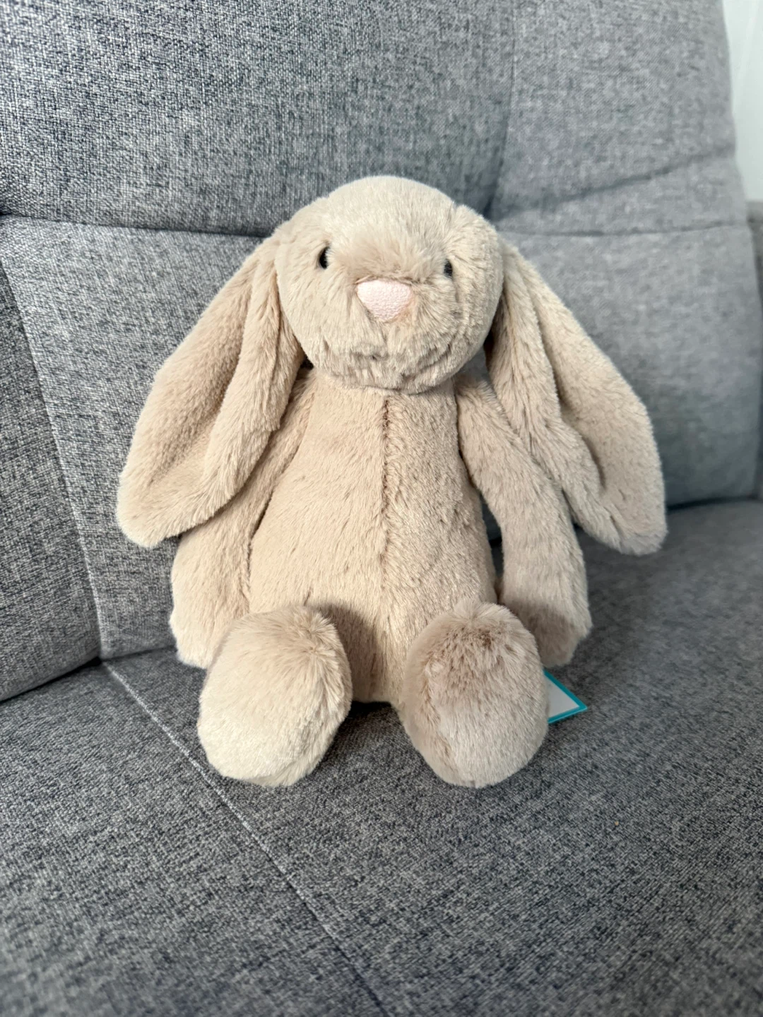 Jellycat Bashful Beige Bunny - Small