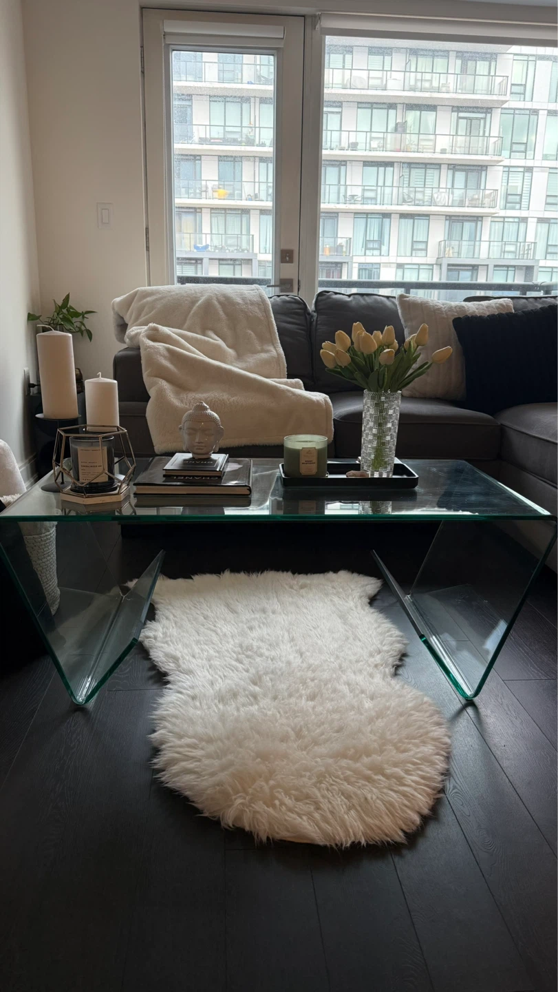 Glass Coffee Table with Modern Design