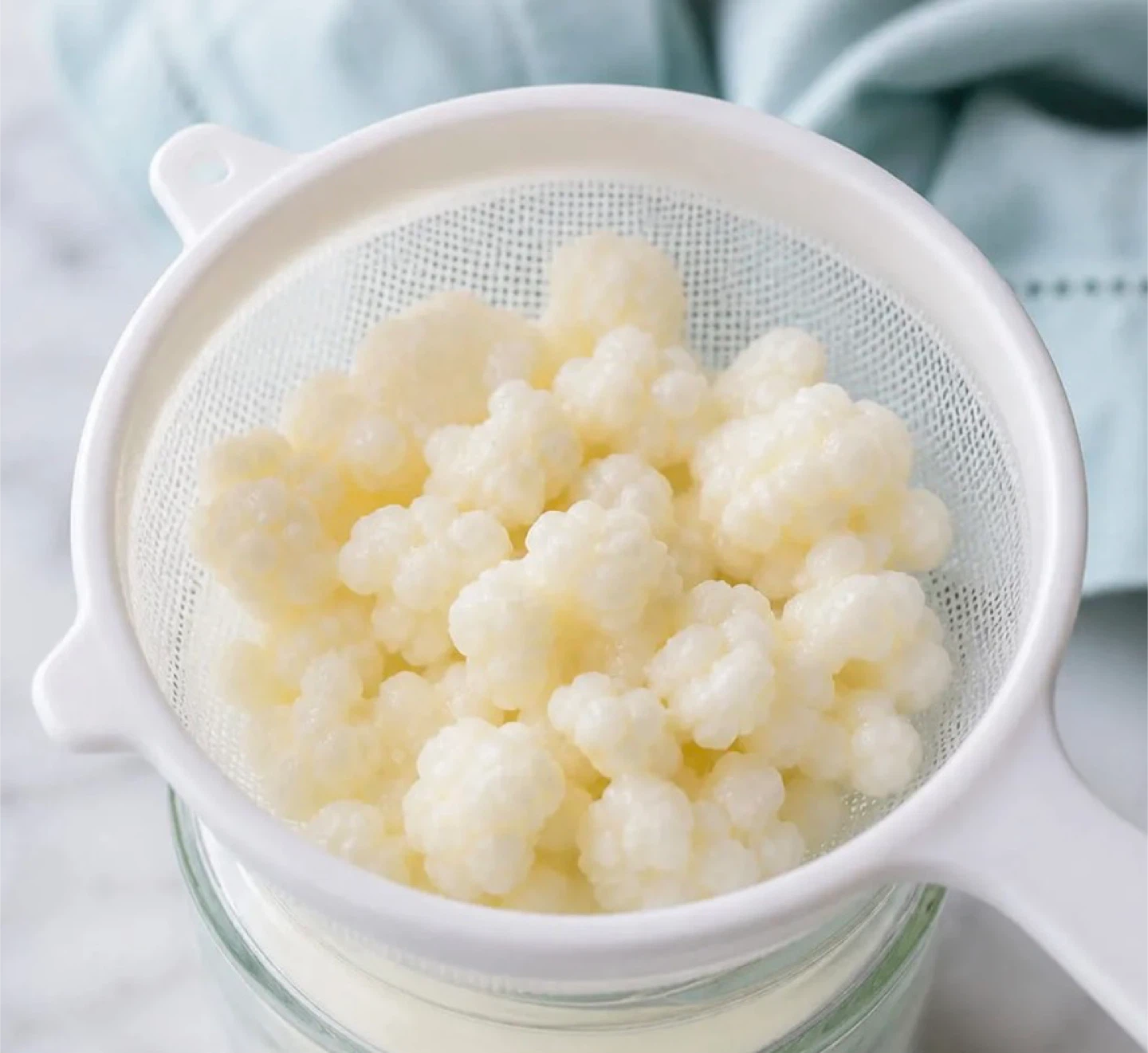 Kefir Grains