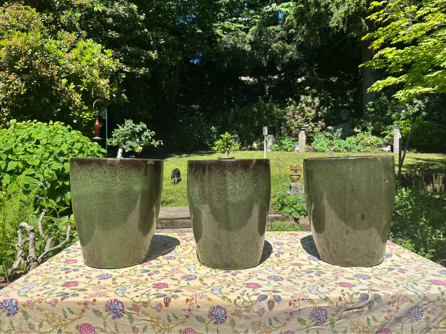 Various outdoor planters