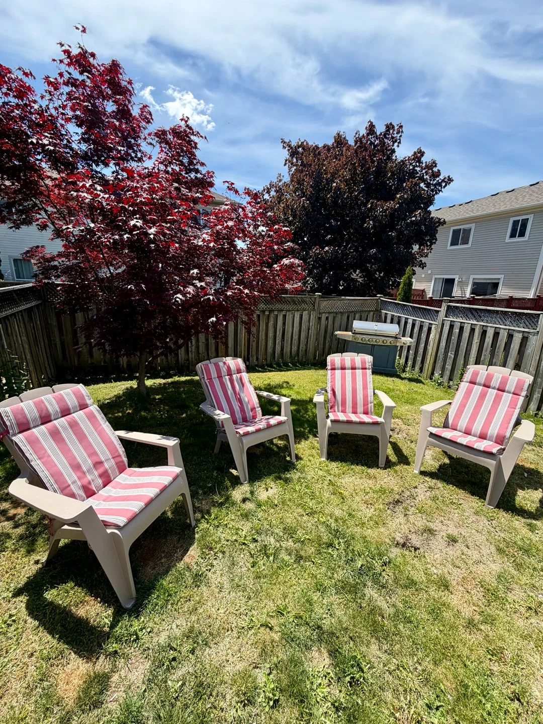 Set of 4 Outdoor Chairs with Cushions