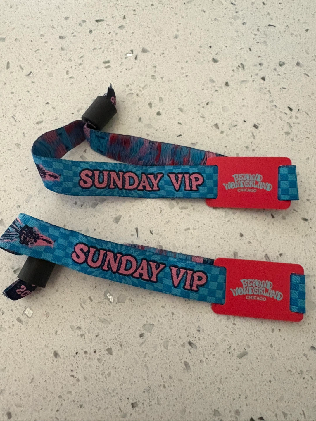 Beyond Wonderland Chicago Sunday VIP Wristband