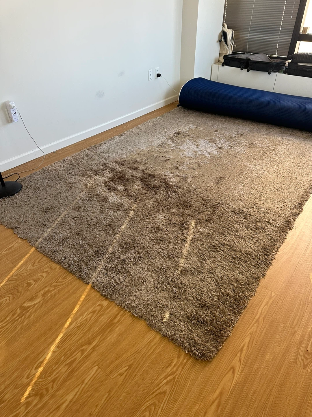 Shaggy Area Rug - Brown/taupe