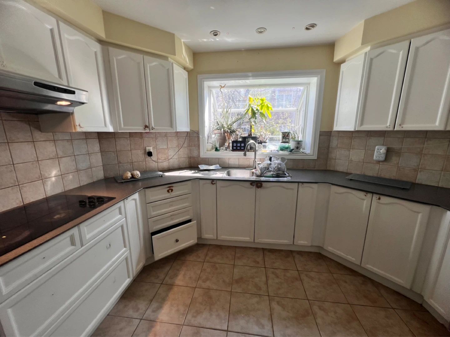Kitchen renovation in progress. FREE CABINETS - photo 3
