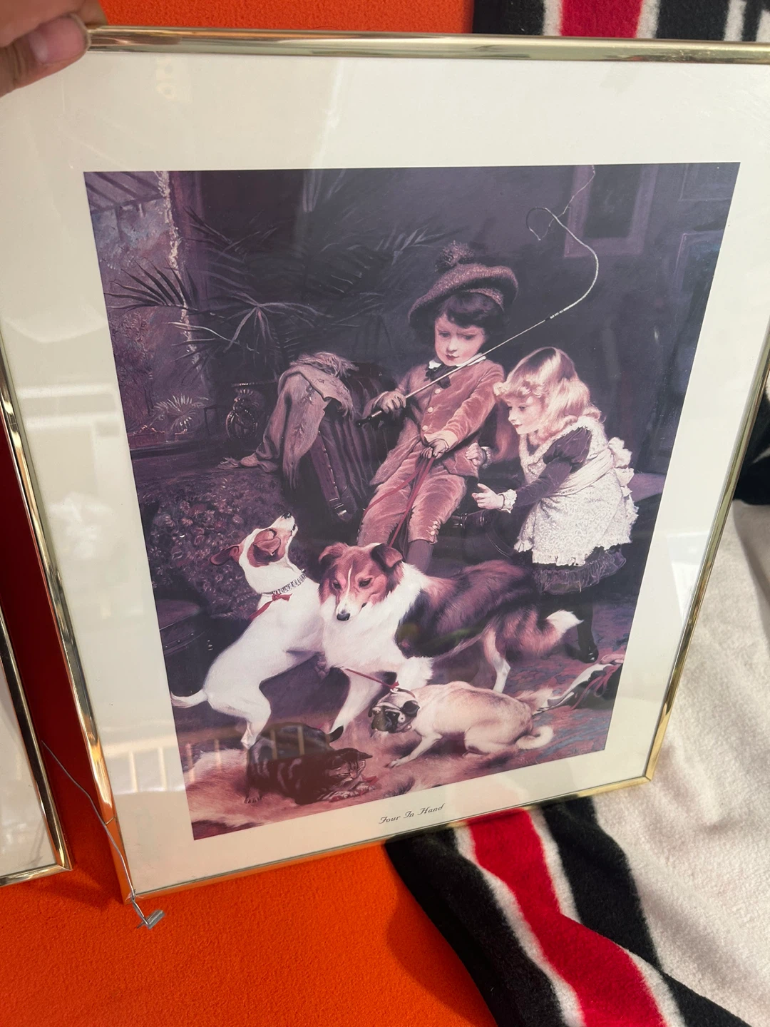 Framed Print - "Peer the Hound" by Peter B. Smith