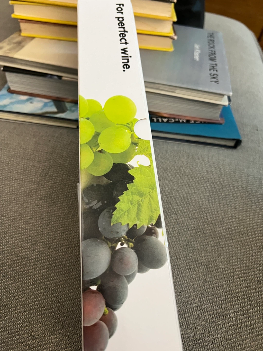 Corkcicle Wine Chiller Stick - photo 4