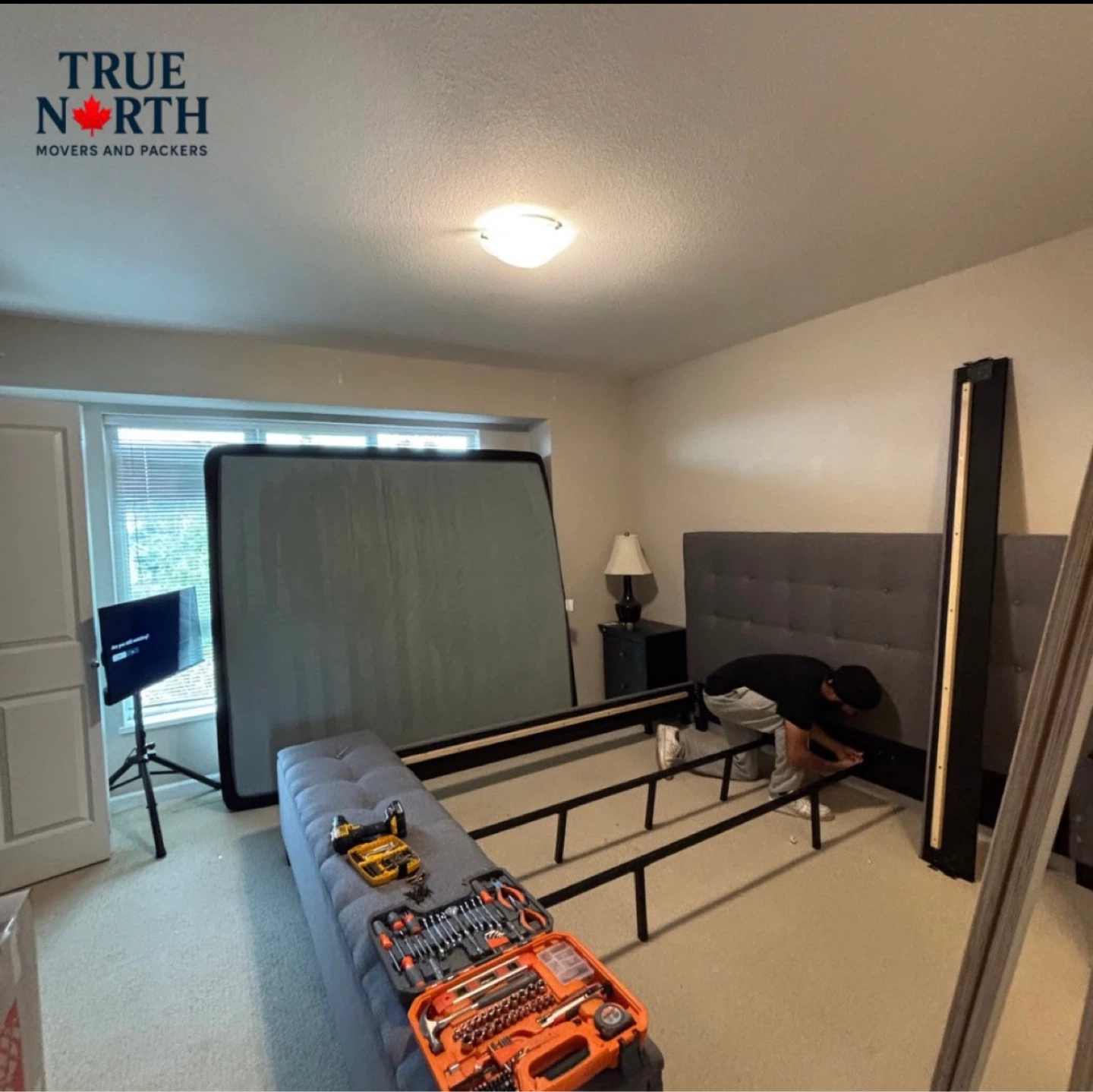 Professional Moving Services - photo 2