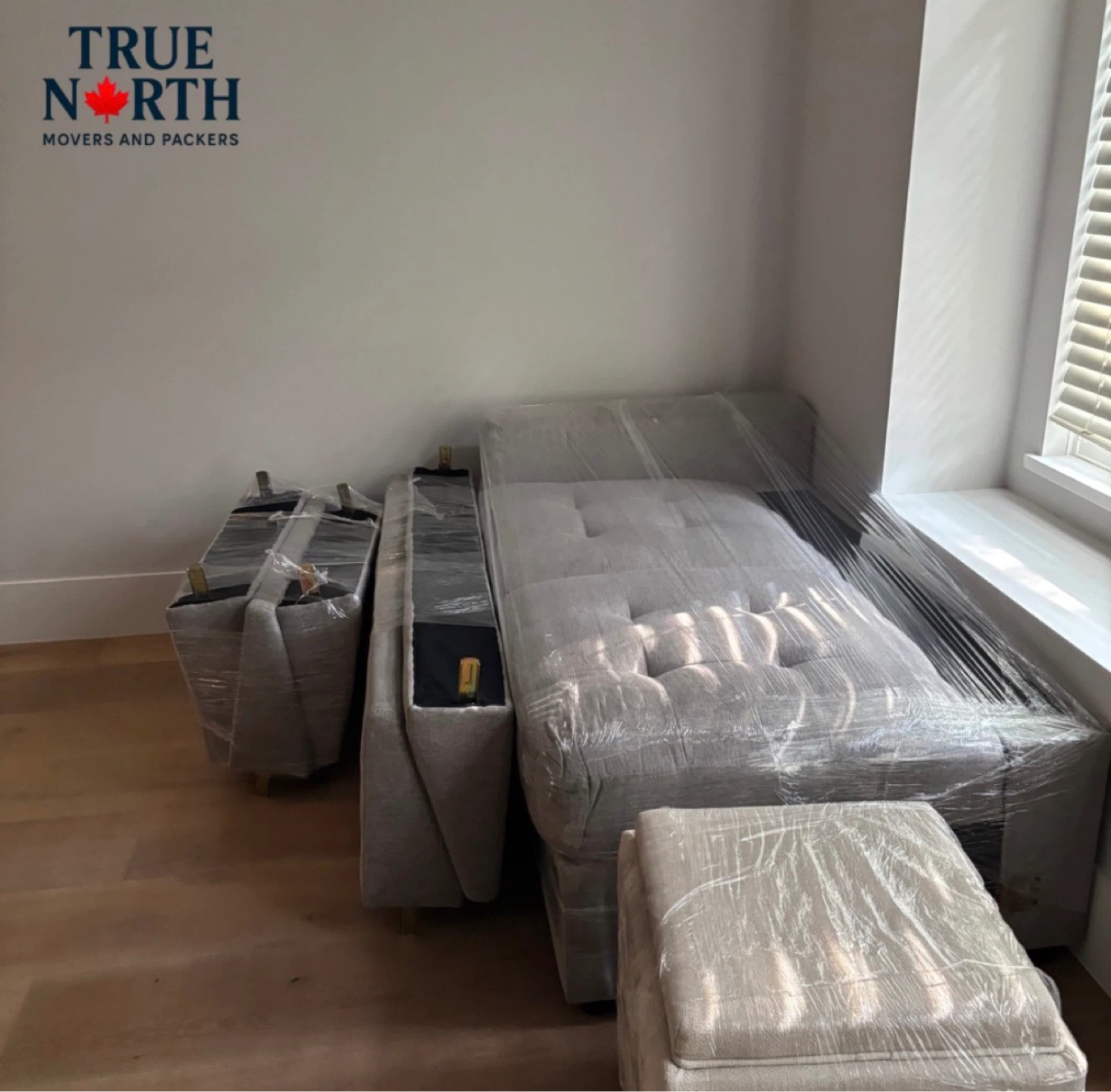 Professional Moving Services - photo 4