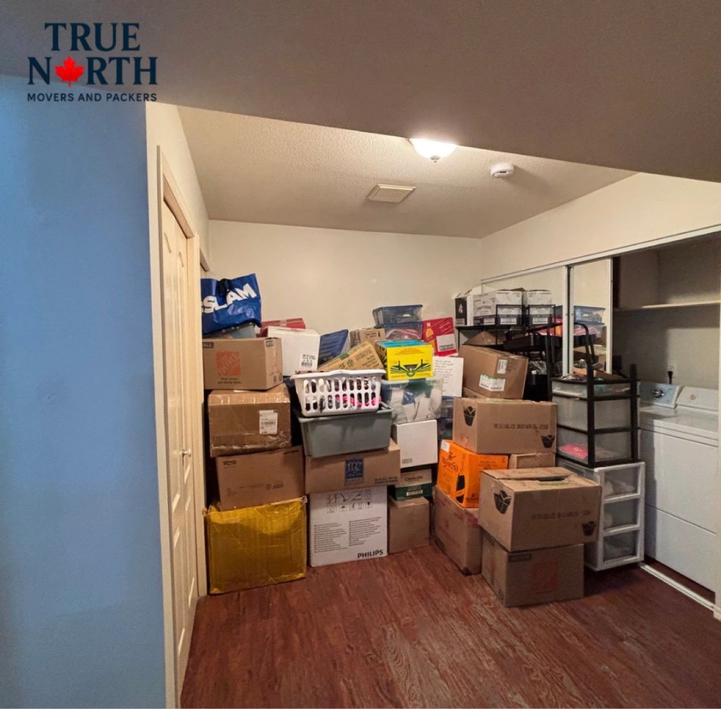 Professional Moving Services - photo 3