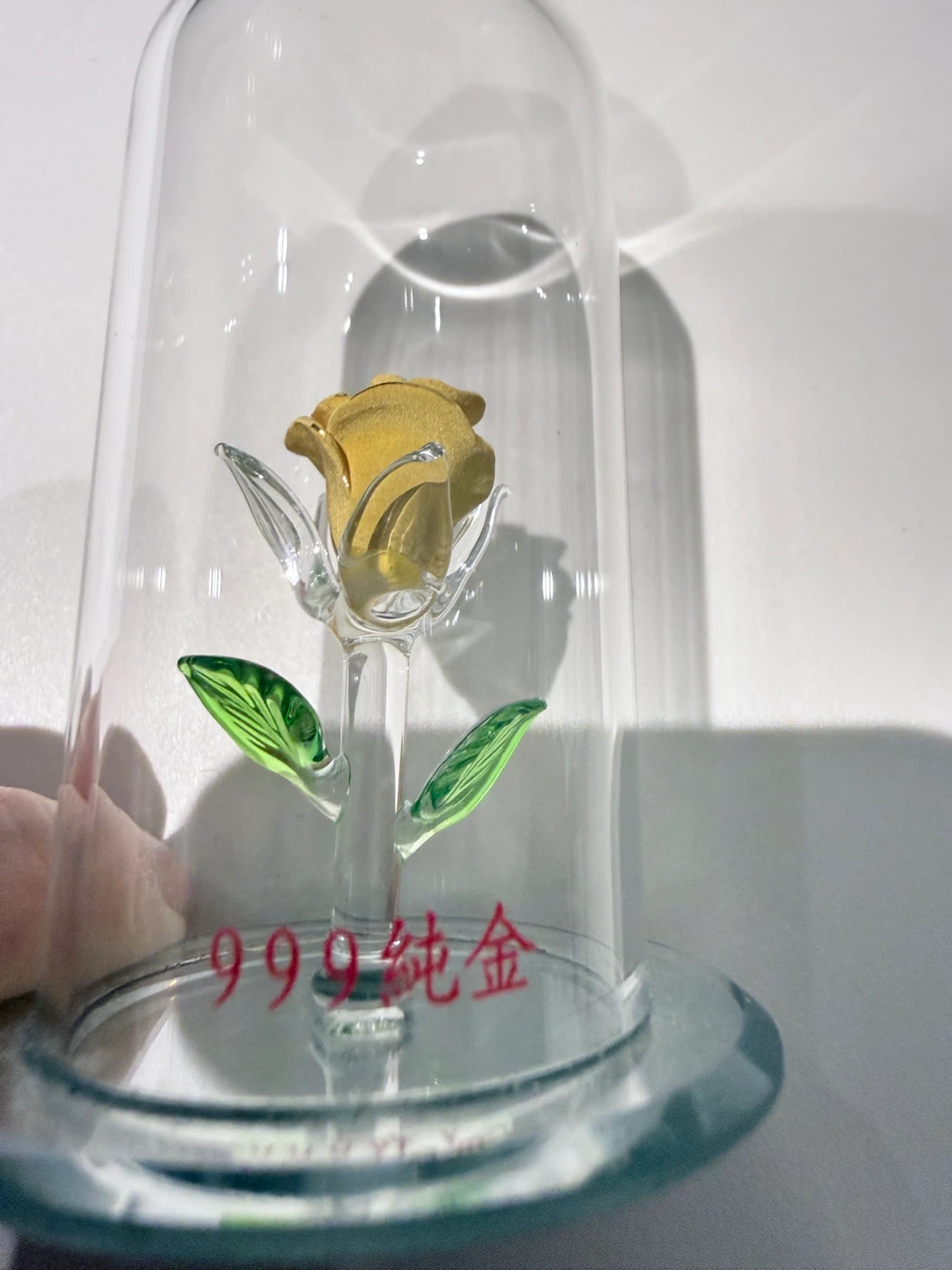 Gold Rose in glass Display