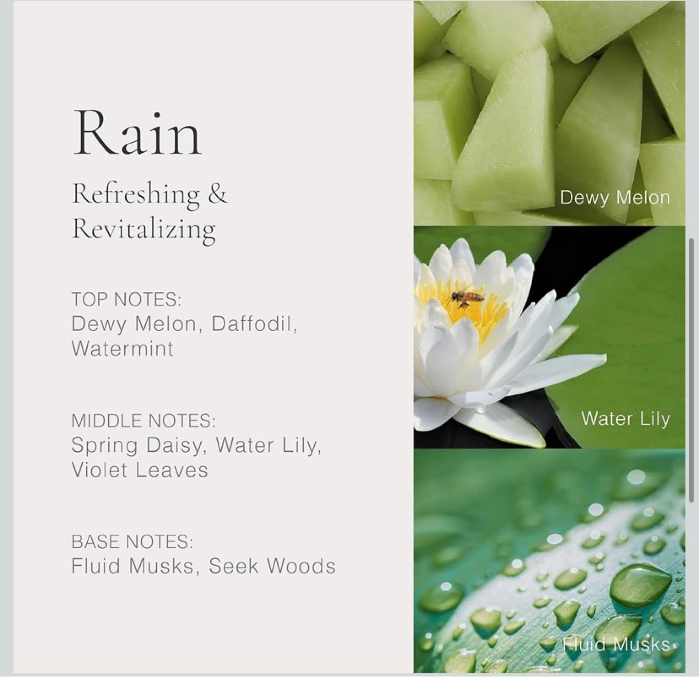 Clean Classic Eau De Parfum Rain 60ml - photo 2