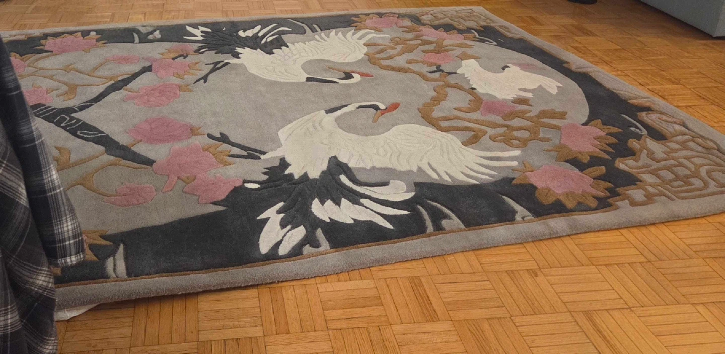 5’ x 8’ Rug - photo 2