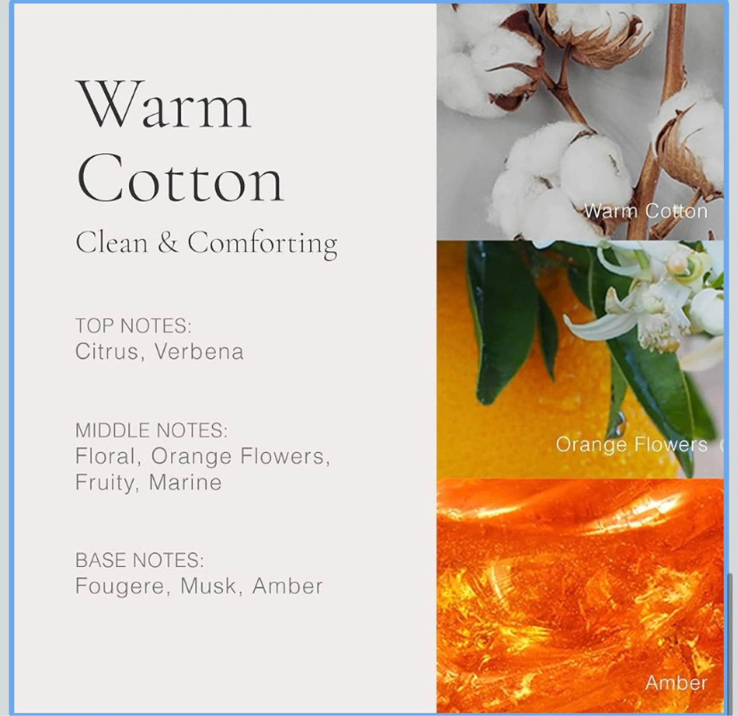 Clean Classic Eau De Parfum Warm Cotton 60 Ml - photo 2