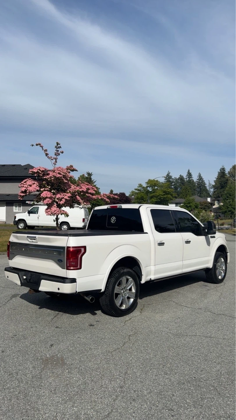 2017 Ford F-150 Platinum Truck - photo 3