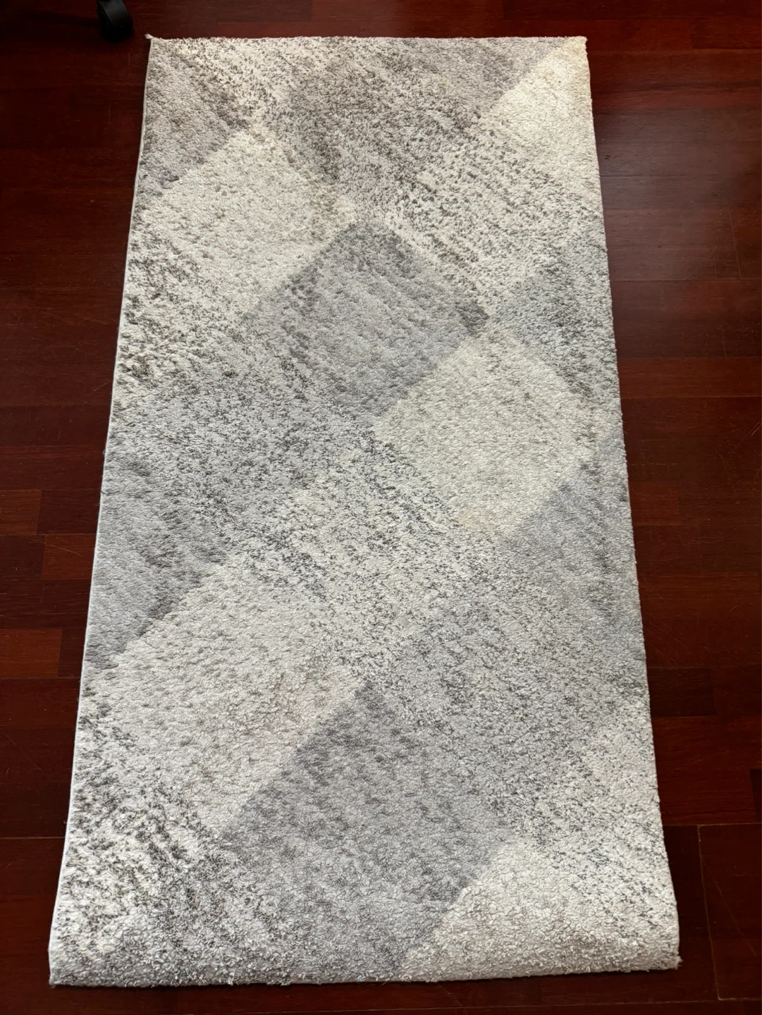 DYNAMIC Rugs Monroe 2'7" x 4'11" Area Rug