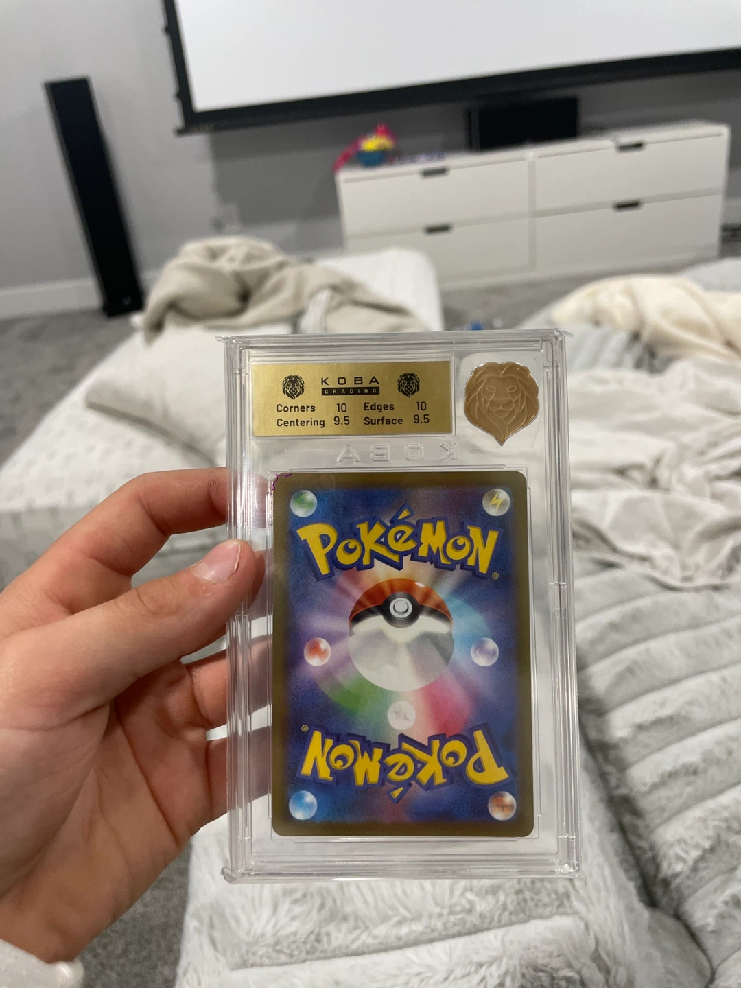 Pokémon - photo 2