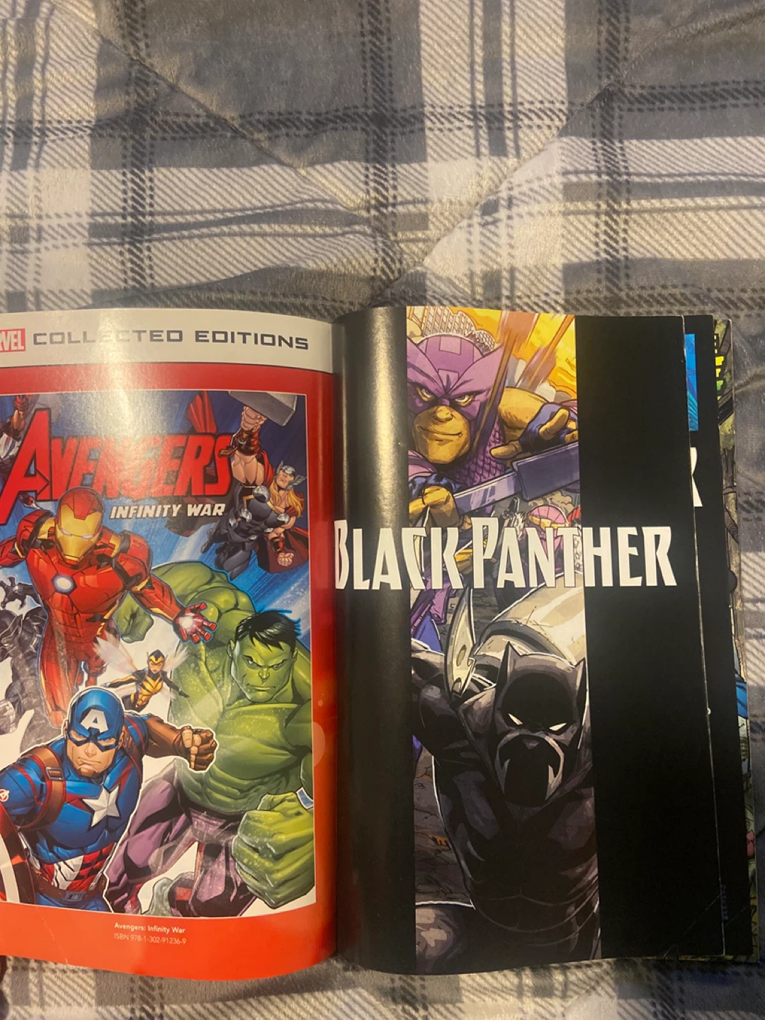 Black Panther Graphic Novel - photo 4