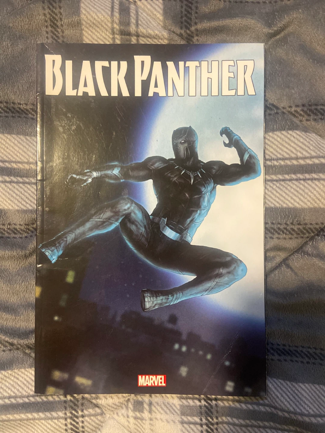 Black Panther Graphic Novel
