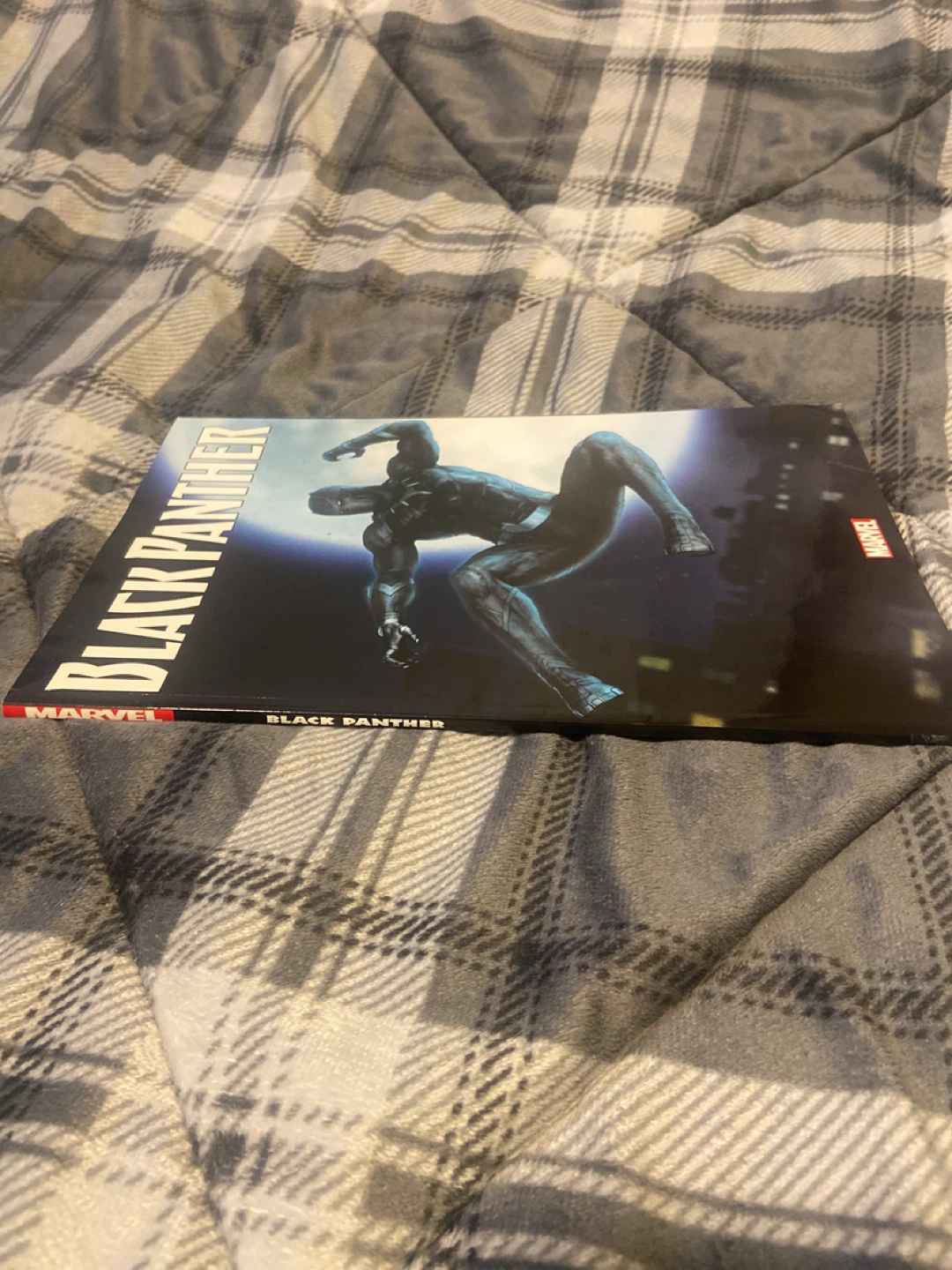 Black Panther Graphic Novel - photo 3