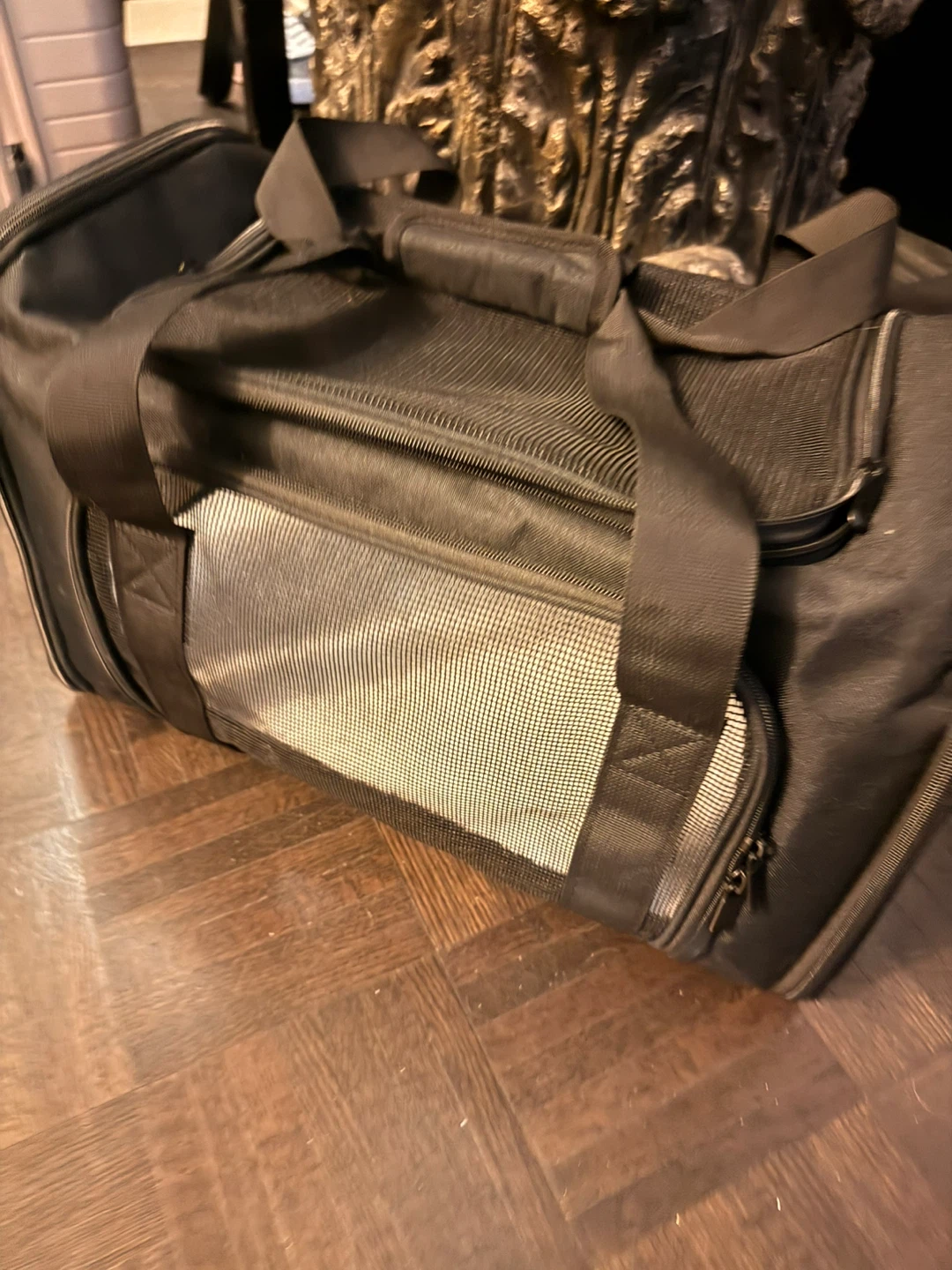 Black Pet Carrier Bag