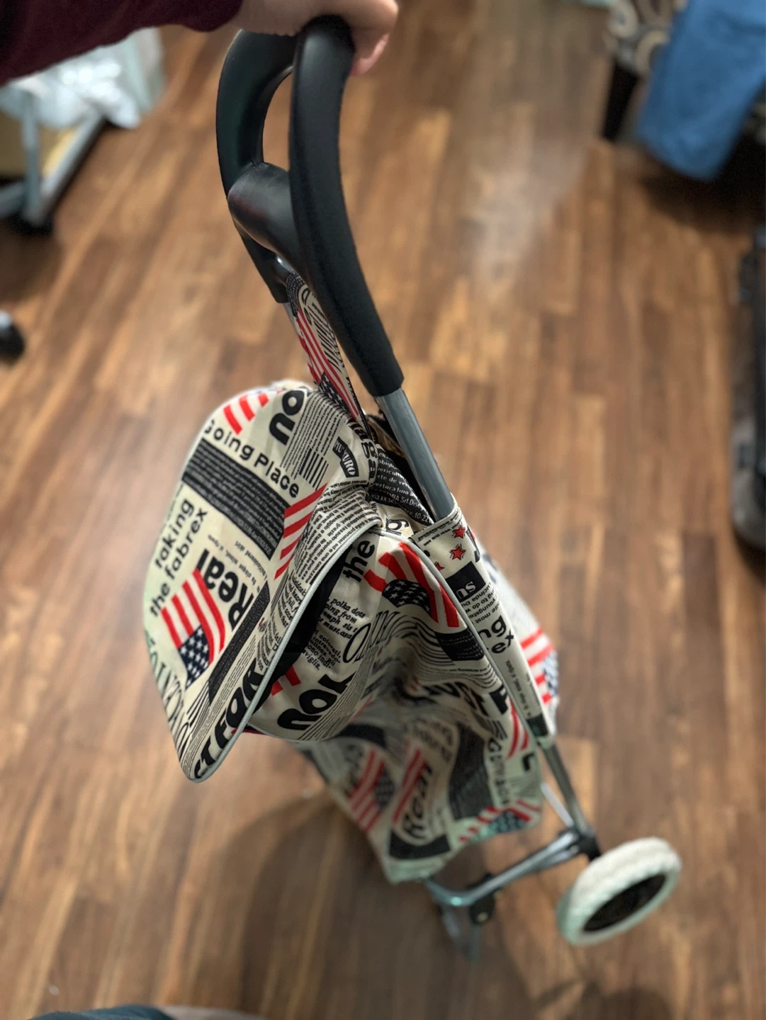 Shopping Cart with Newspaper & Flag Print