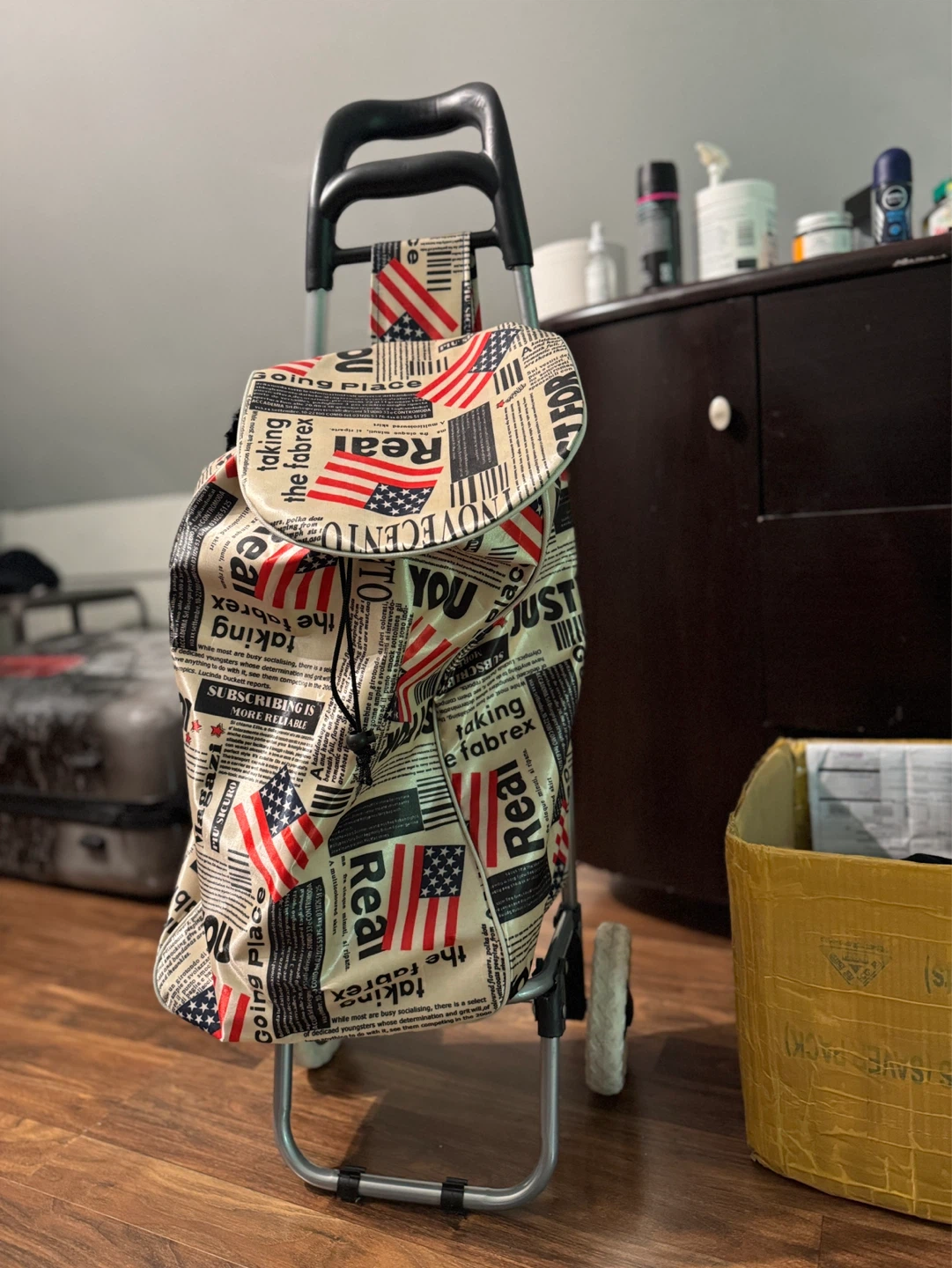 Shopping Cart with Newspaper & Flag Print - photo 2