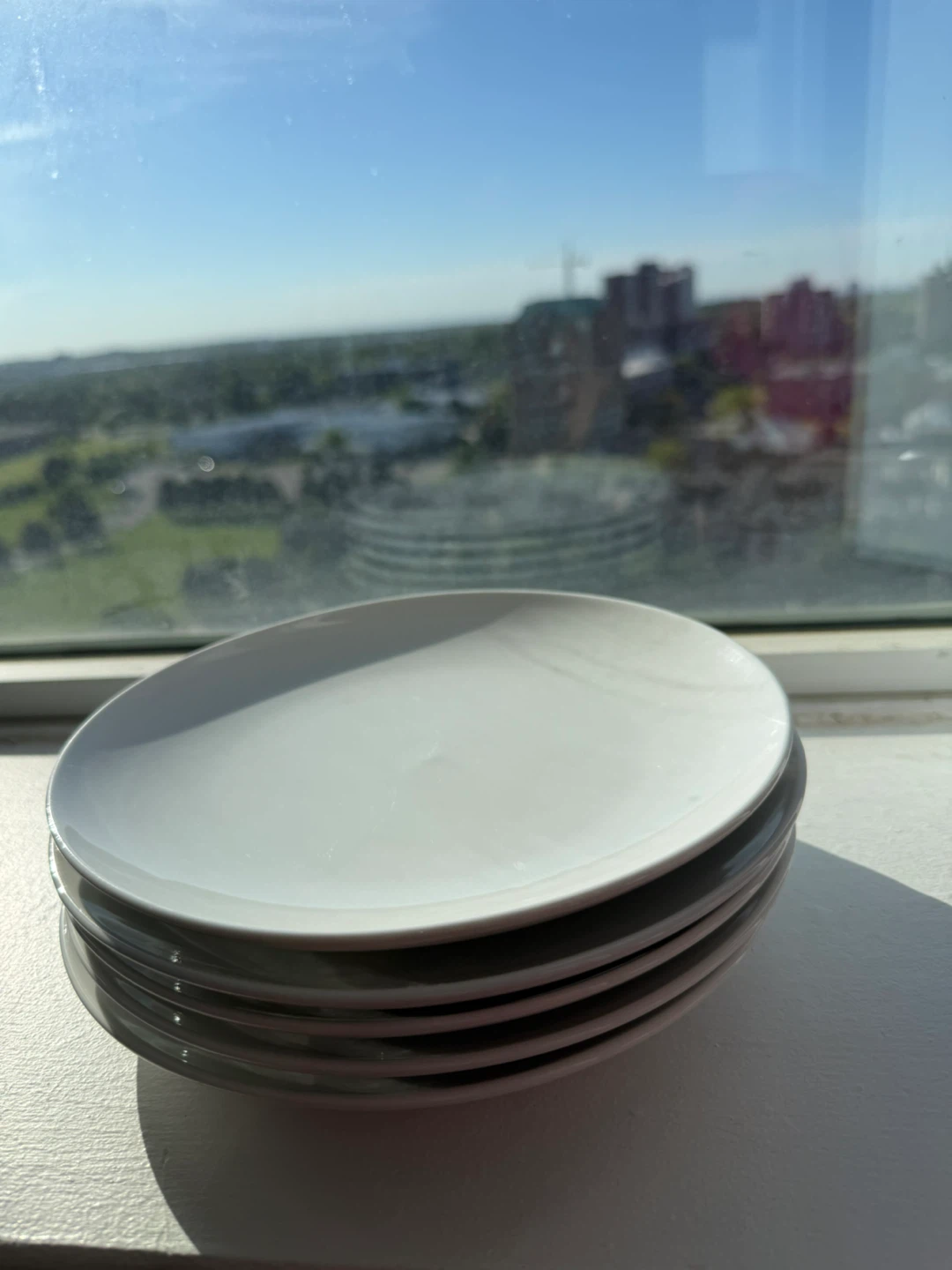 À La Carte Kitchen Stuff Plus White Dinner Plates Set of 5