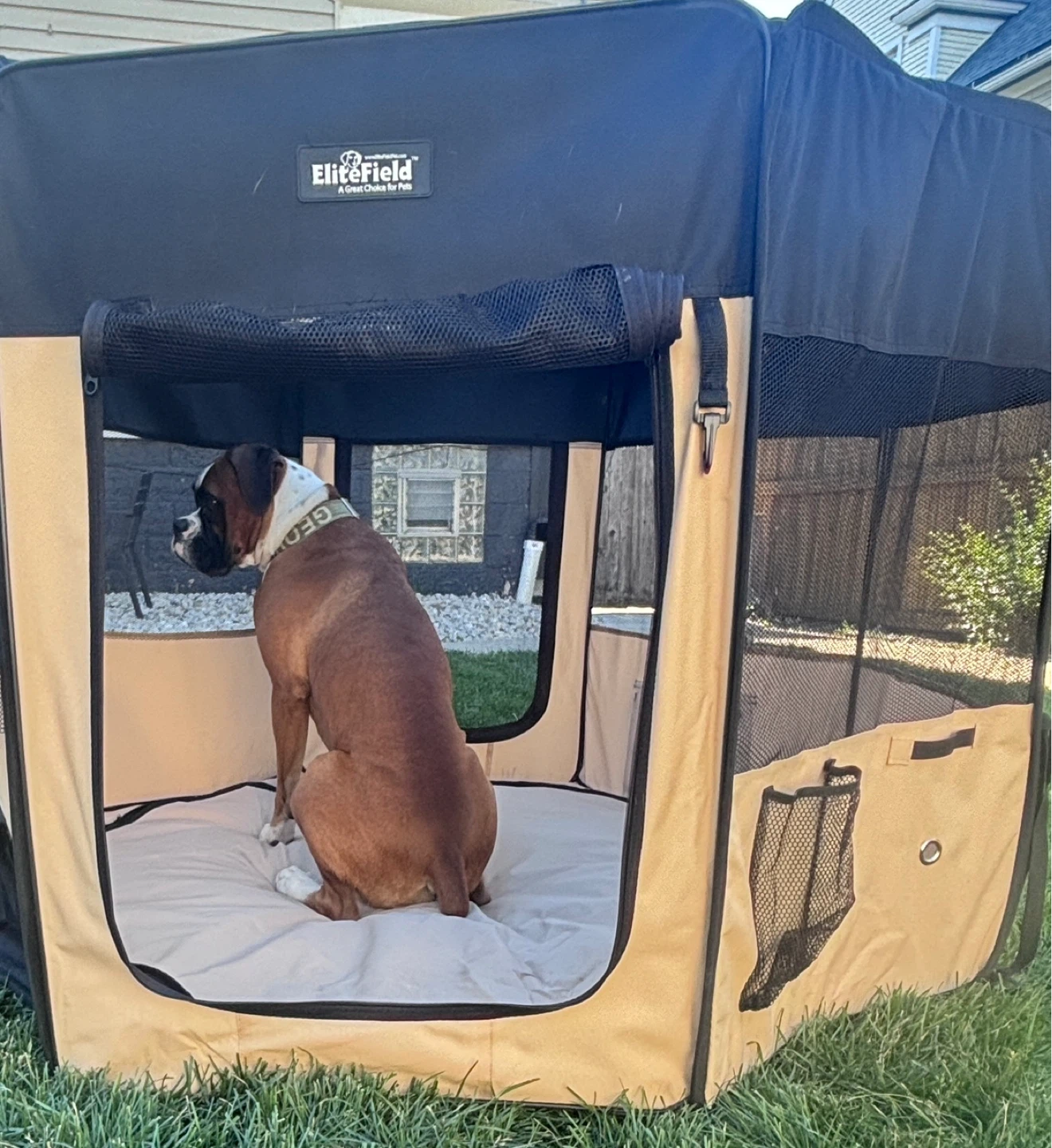 EliteField Pet Playpen Portable Exercise Kennel Octagon - photo 3