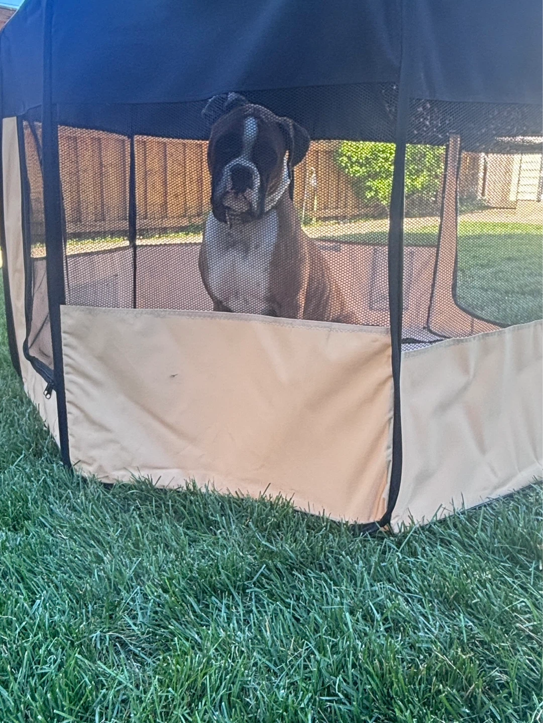 EliteField Pet Playpen Portable Exercise Kennel Octagon - photo 4