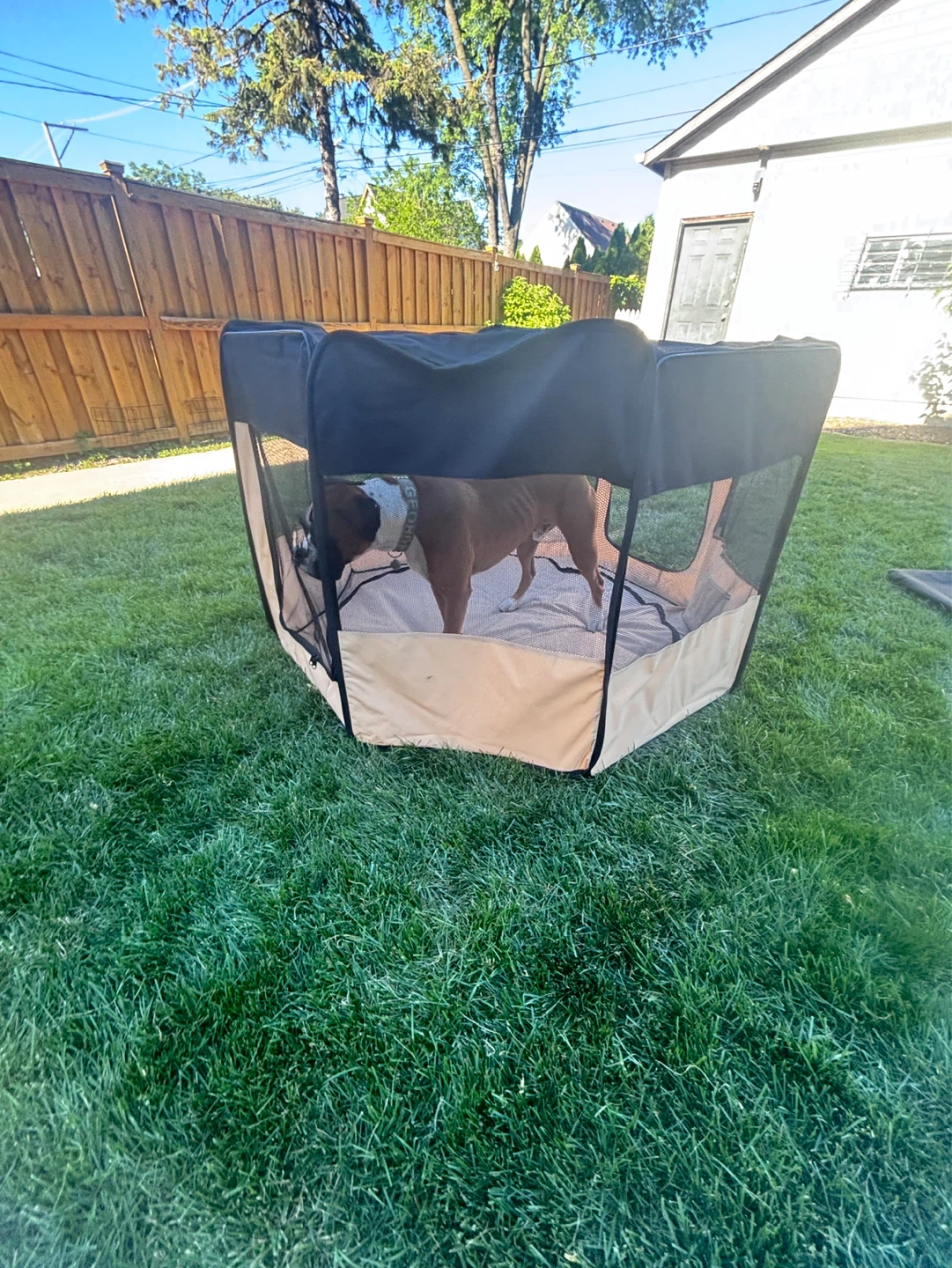 EliteField Pet Playpen Portable Exercise Kennel Octagon - photo 5