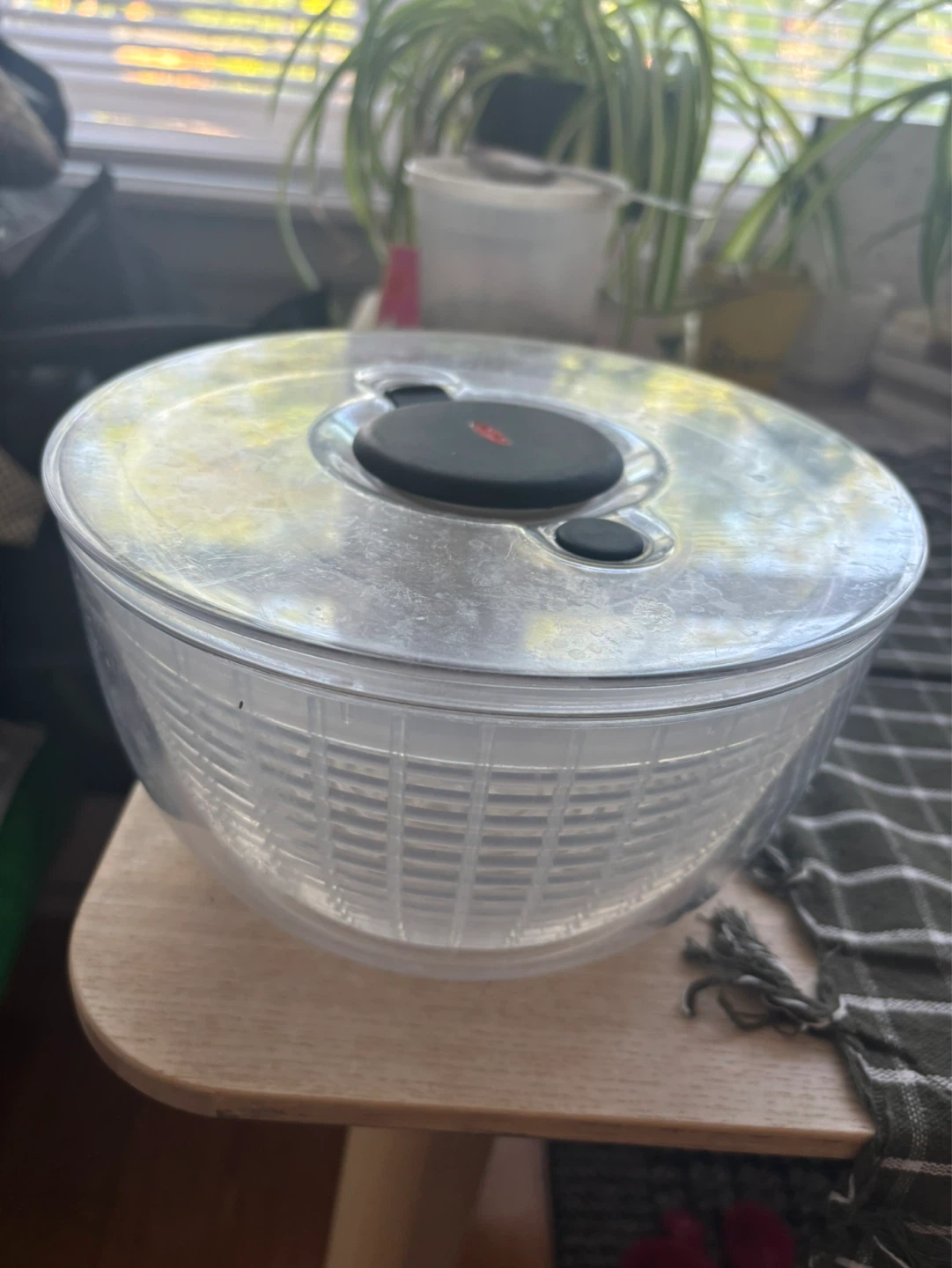 Salad spinner