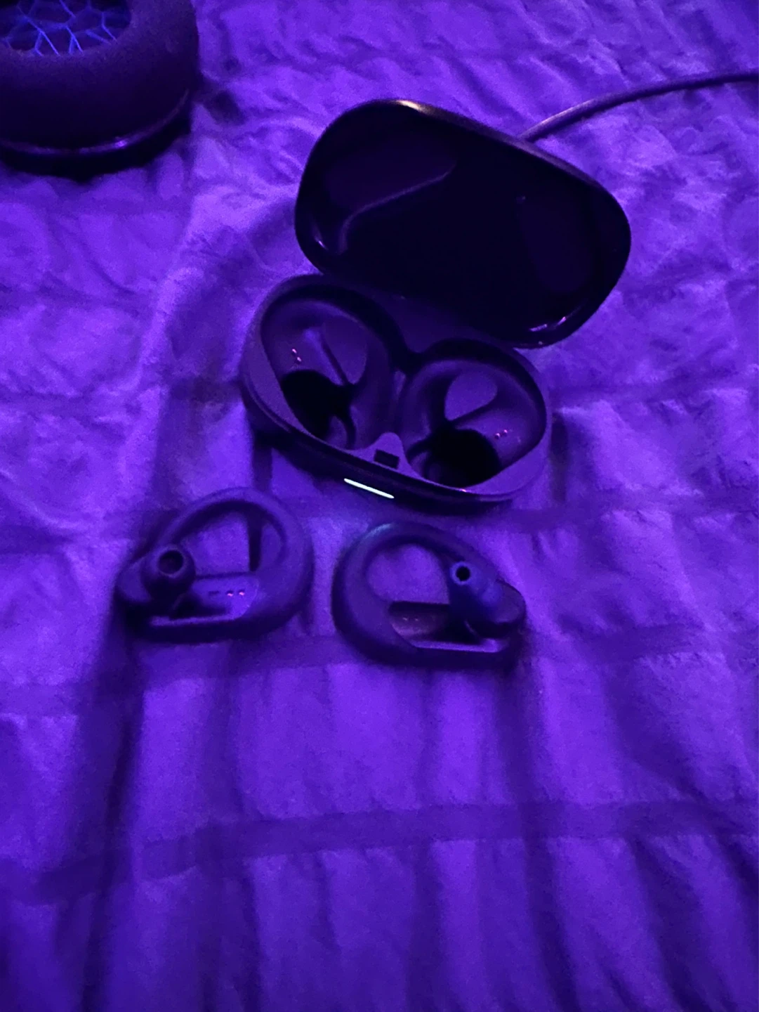 JBL True Wireless Earbuds with Charging Case