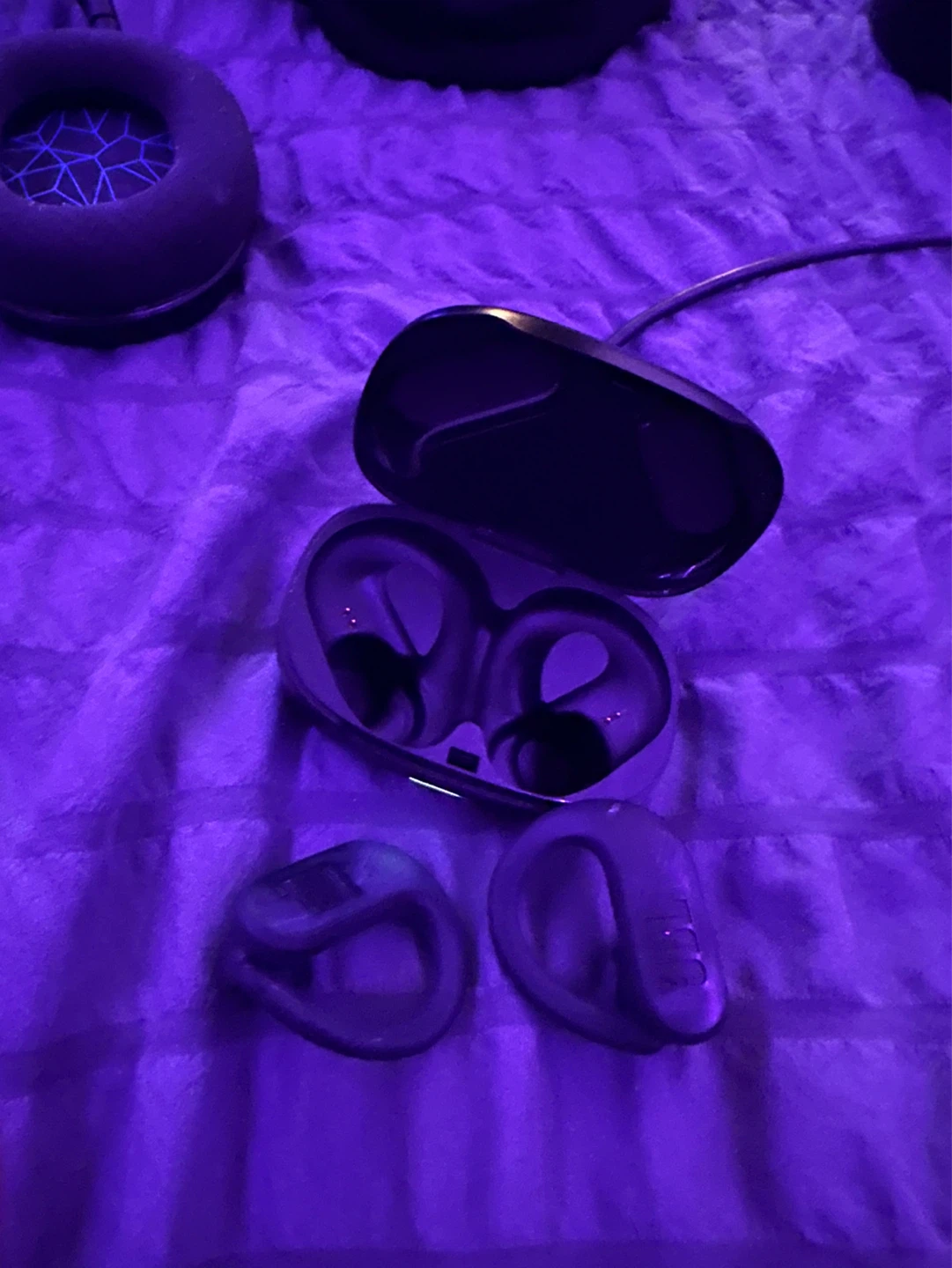 JBL True Wireless Earbuds with Charging Case - photo 2