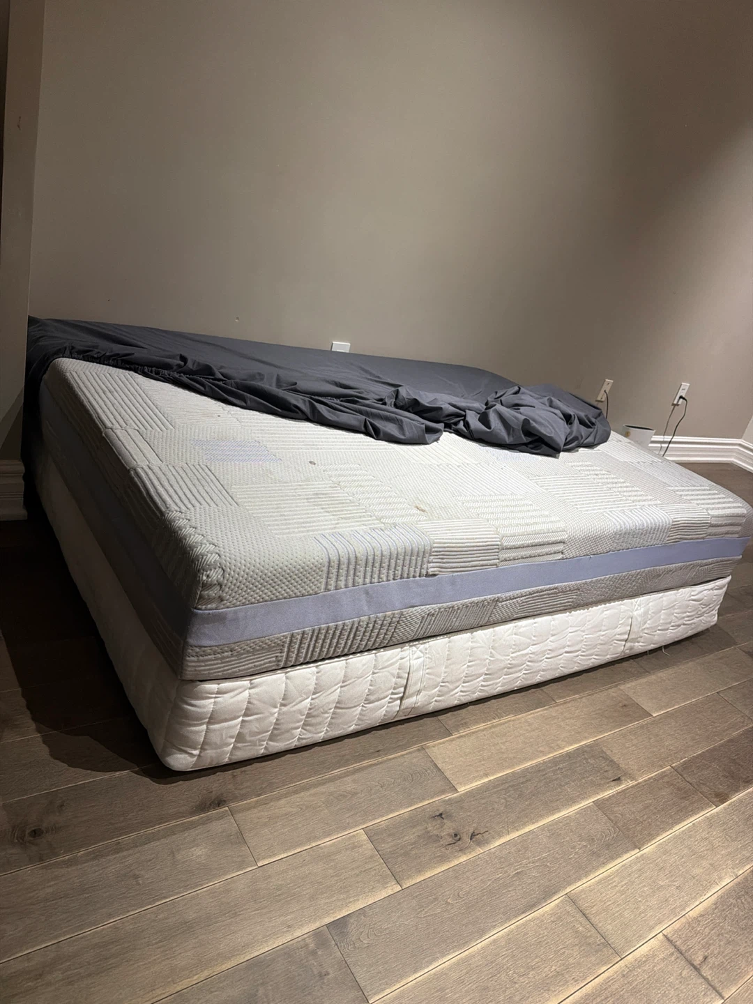 2 Queen Sized Sealy Mattress