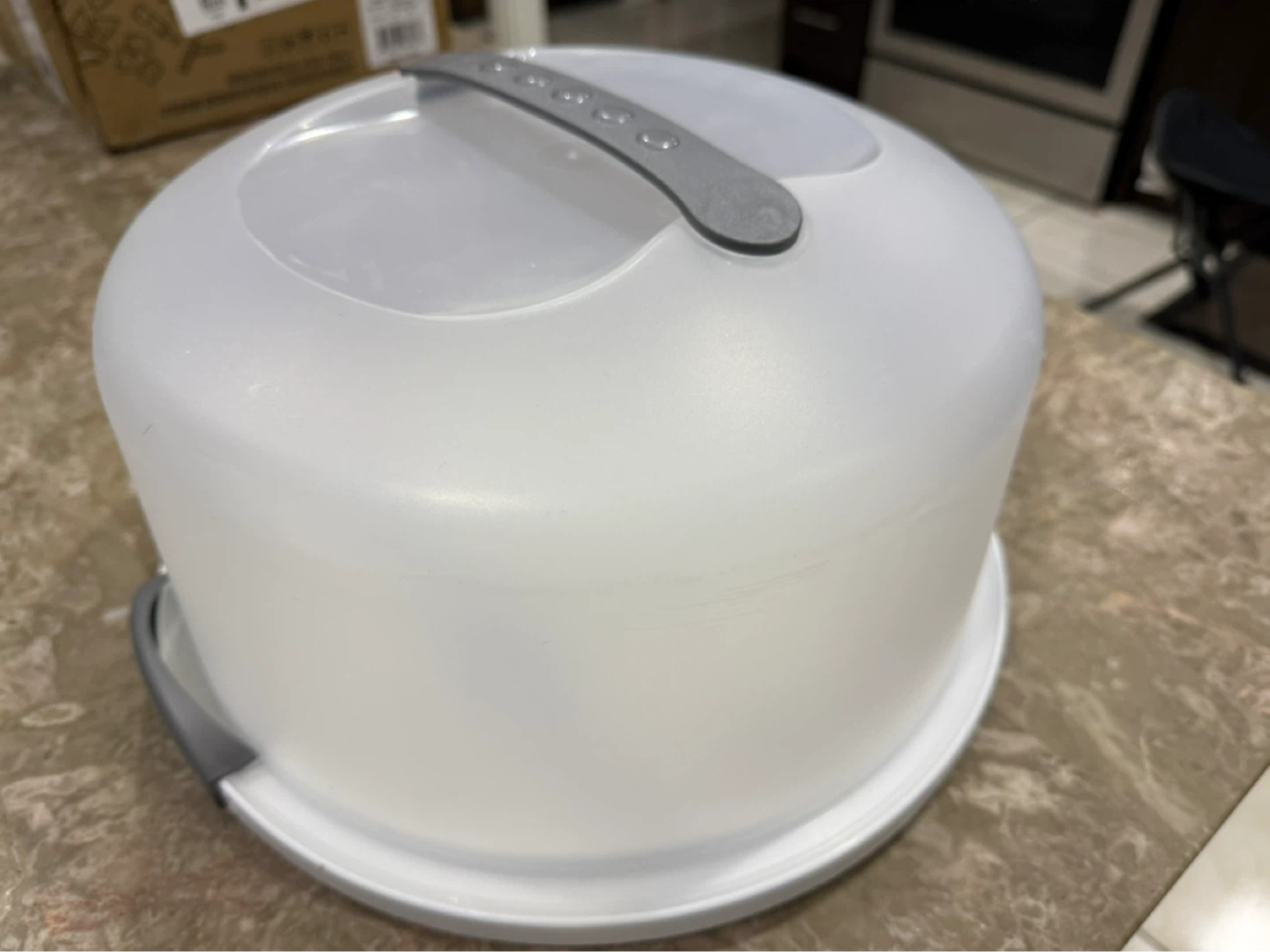 Large Cake Carrier