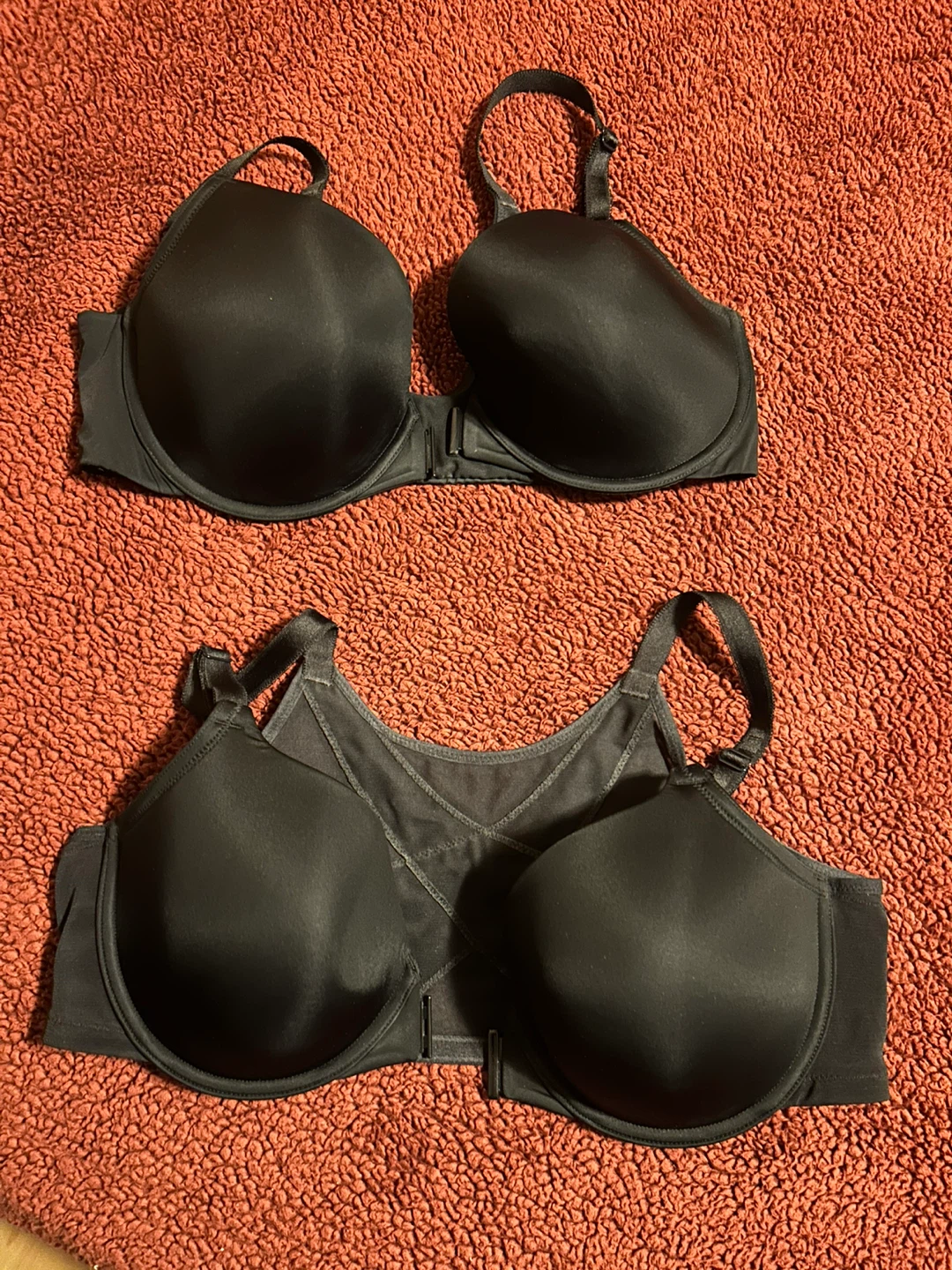 Torrid Bras