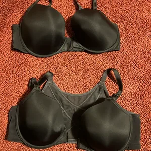 Torrid Bras