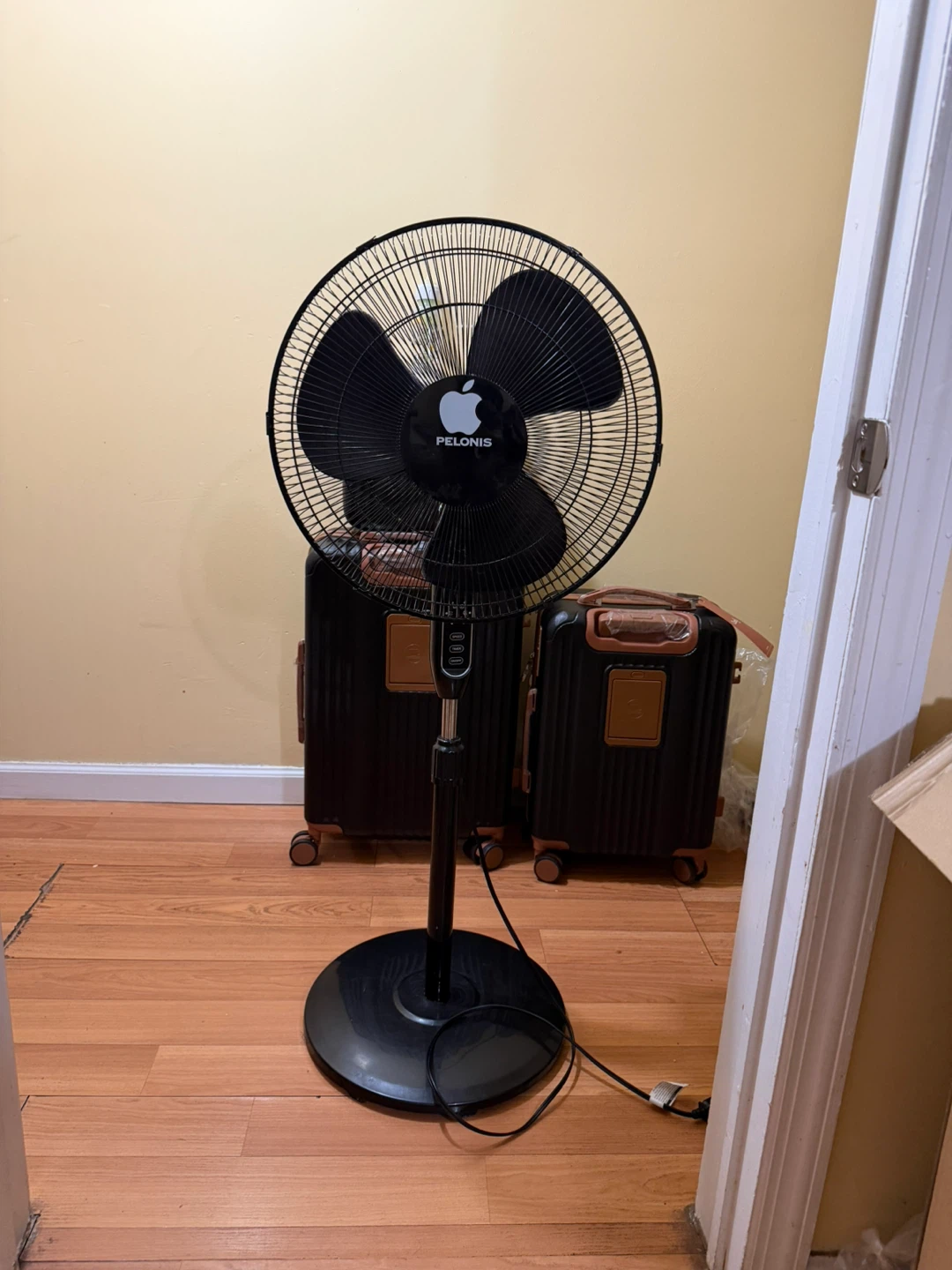 Pelonis Pedestal Fan