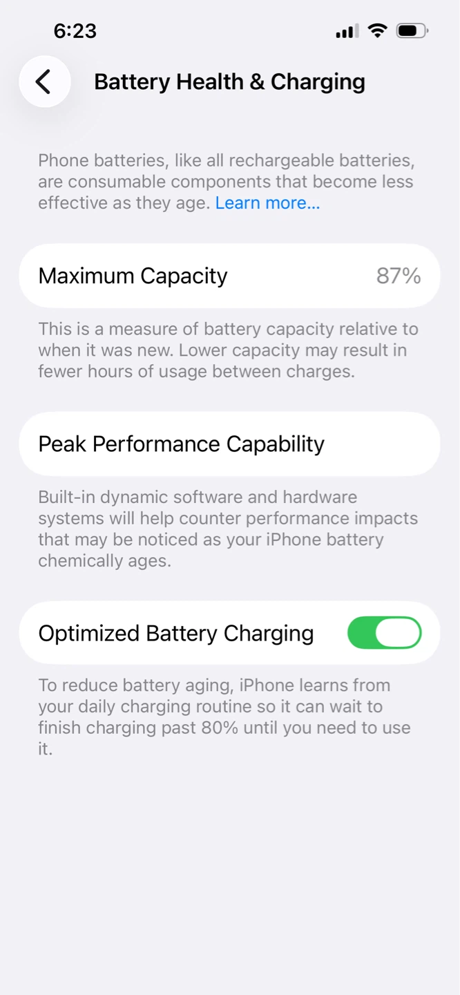 Apple iPhone 14 - photo 4