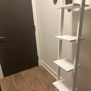 White Ladder Shelf