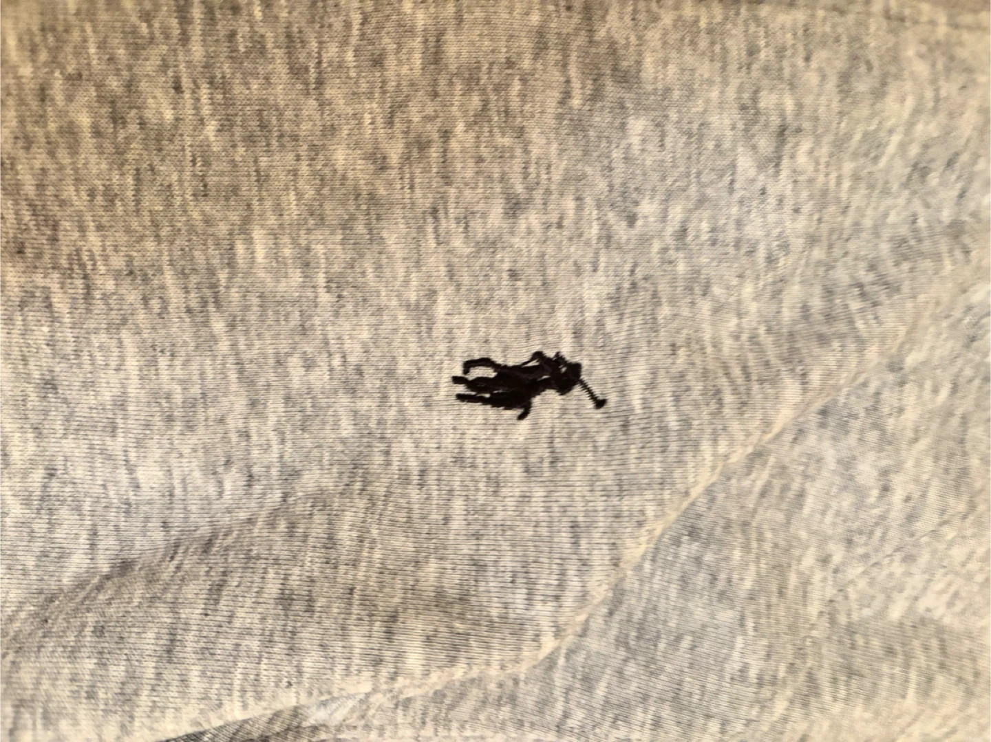 Polo Ralph Lauren Grey 1/4 Zip Sweatshirt - photo 3