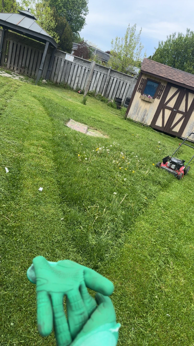 Yard Force Gas Lawn Mower