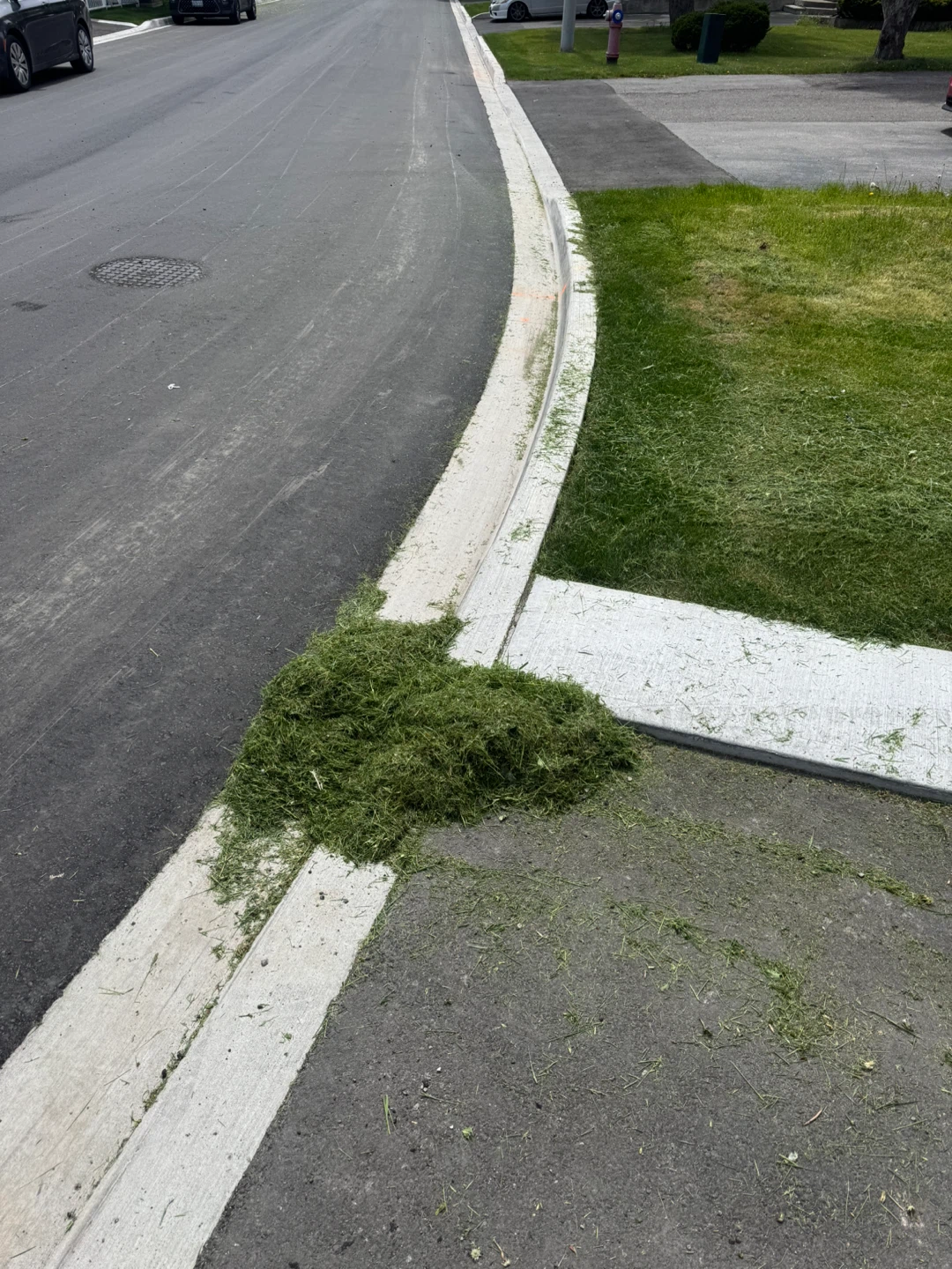 Yard Force Gas Lawn Mower - photo 3