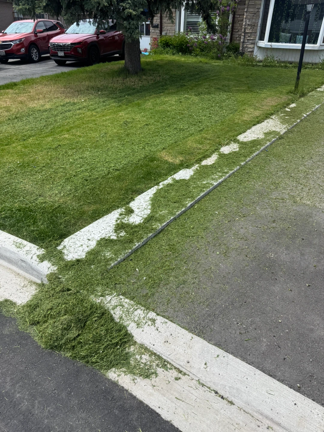 Yard Force Gas Lawn Mower - photo 4