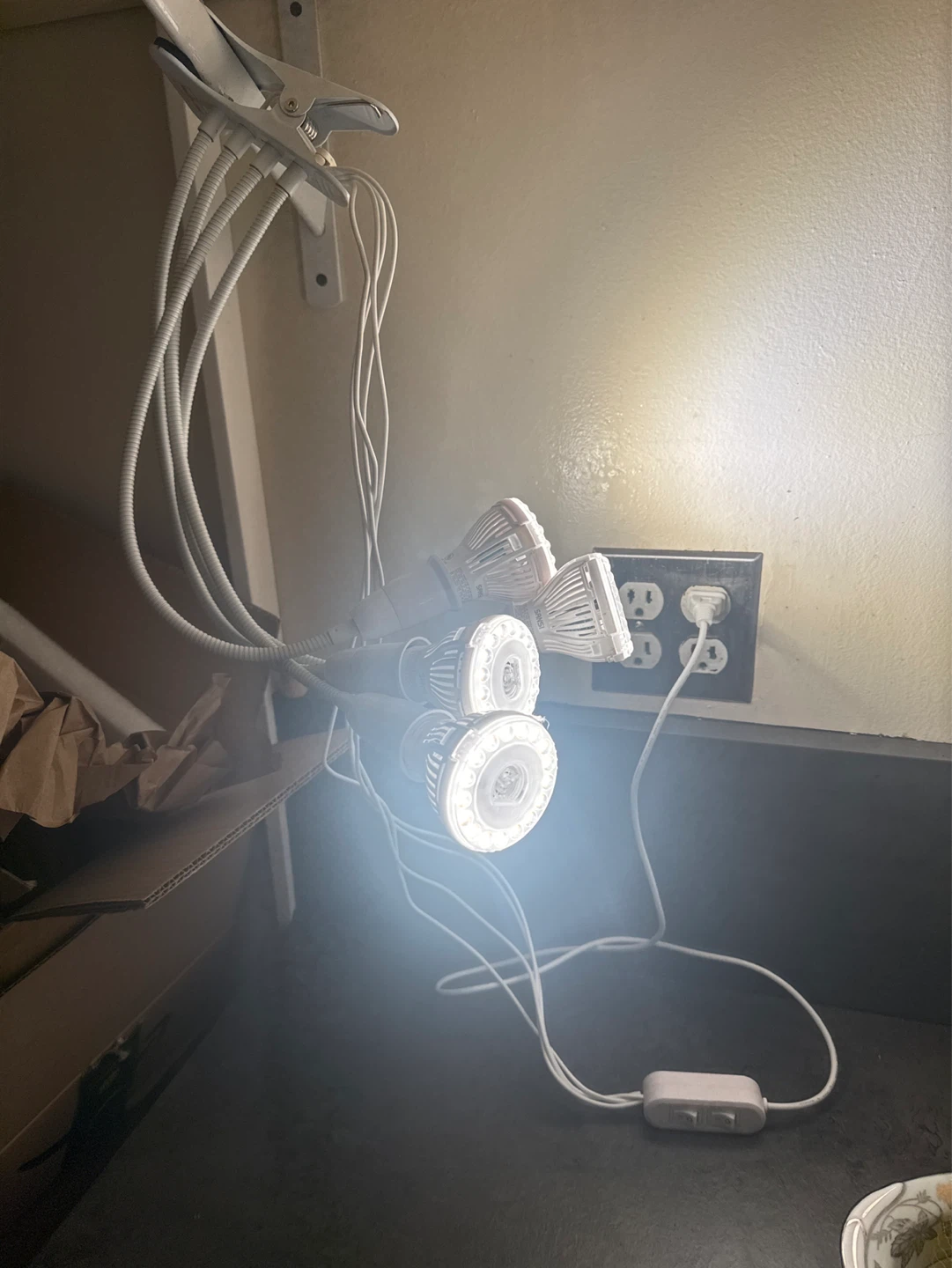 Plant Grow Light - clip on - photo 3