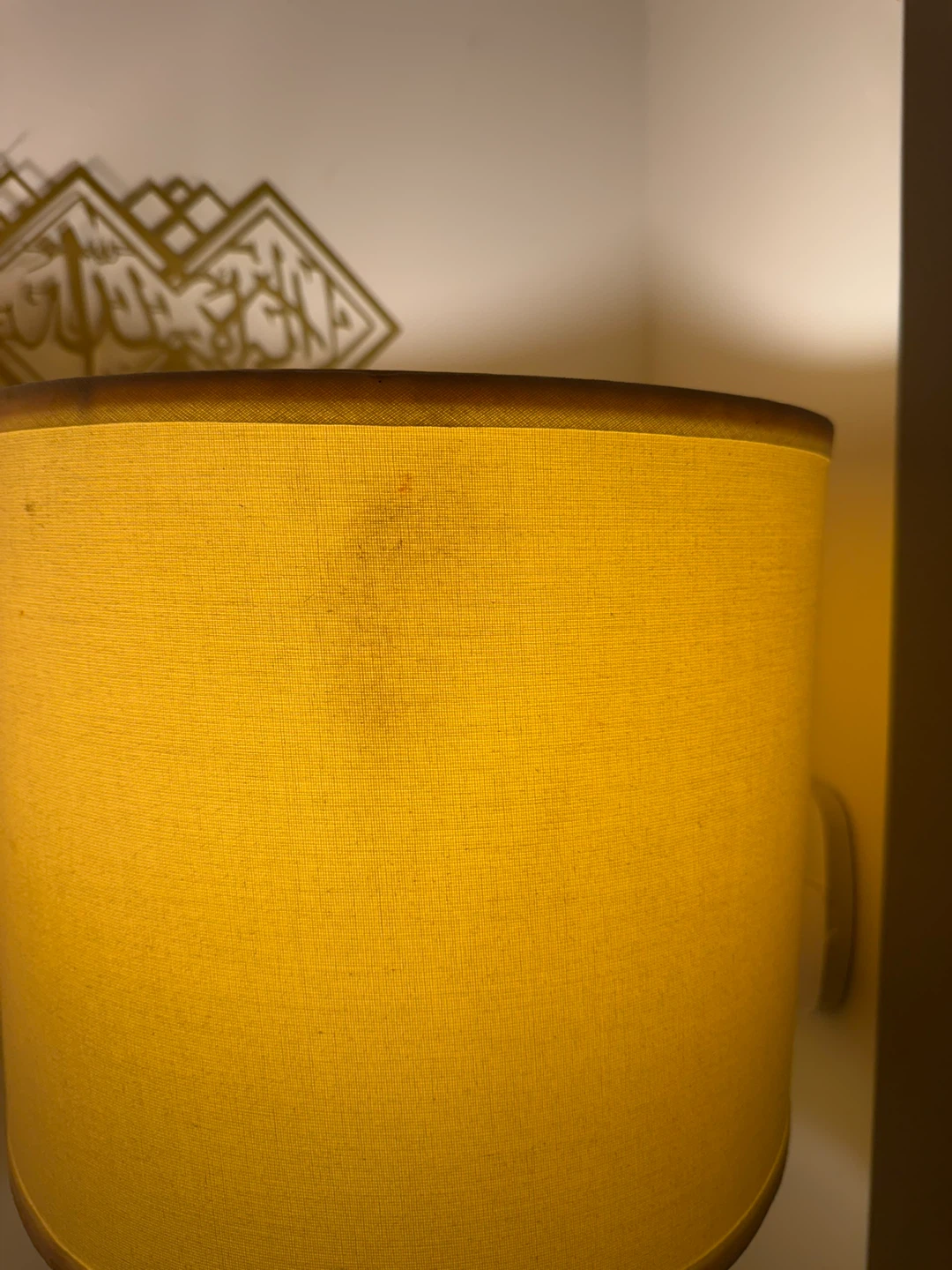 Pair of  Lamps with Dark Bases - photo 2
