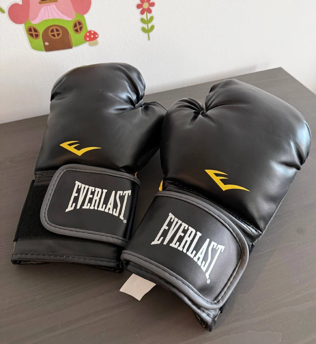 Everlast Boxing Gloves
